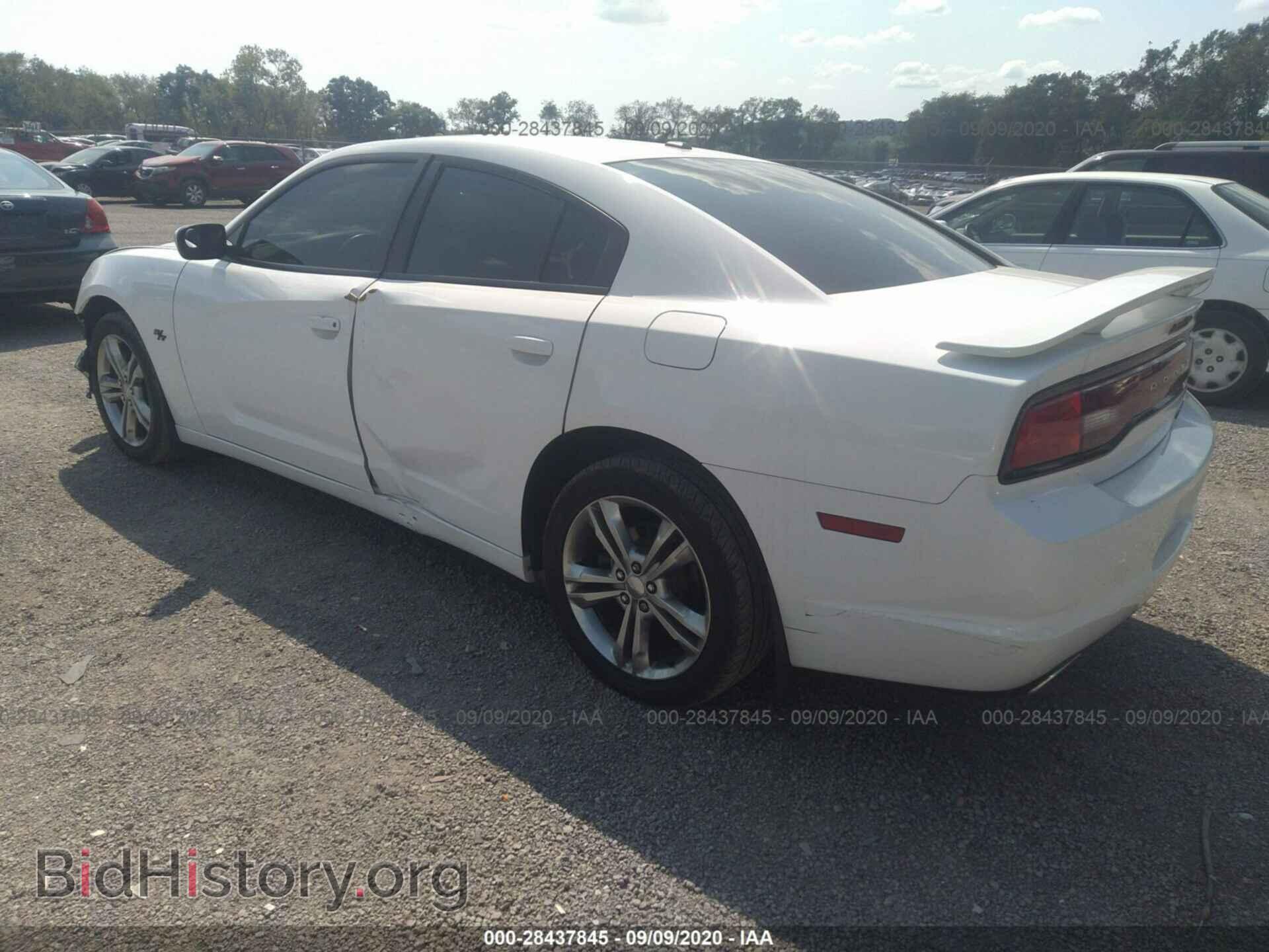 2013 DODGE CHARGER - VIN: 2C3CDXDT5DH555840 - Фото 3