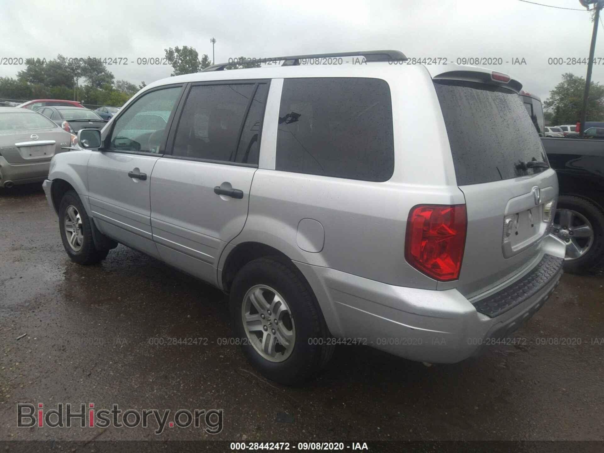 2005 HONDA PILOT - VIN: 5FNYF18405B036035 - Фото 3