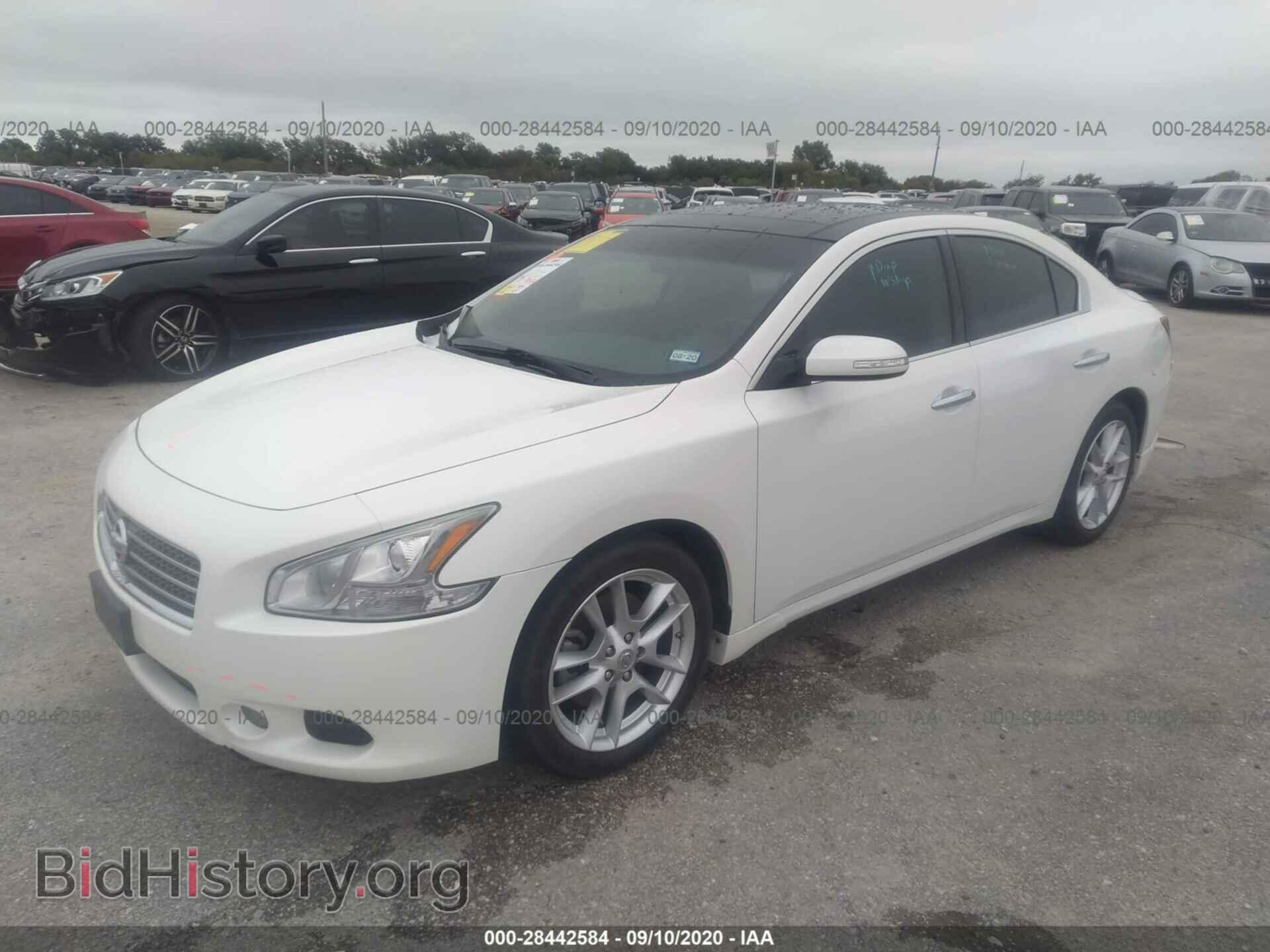 2009 NISSAN MAXIMA - VIN: 1N4AA51E09C805877 - Фото 2
