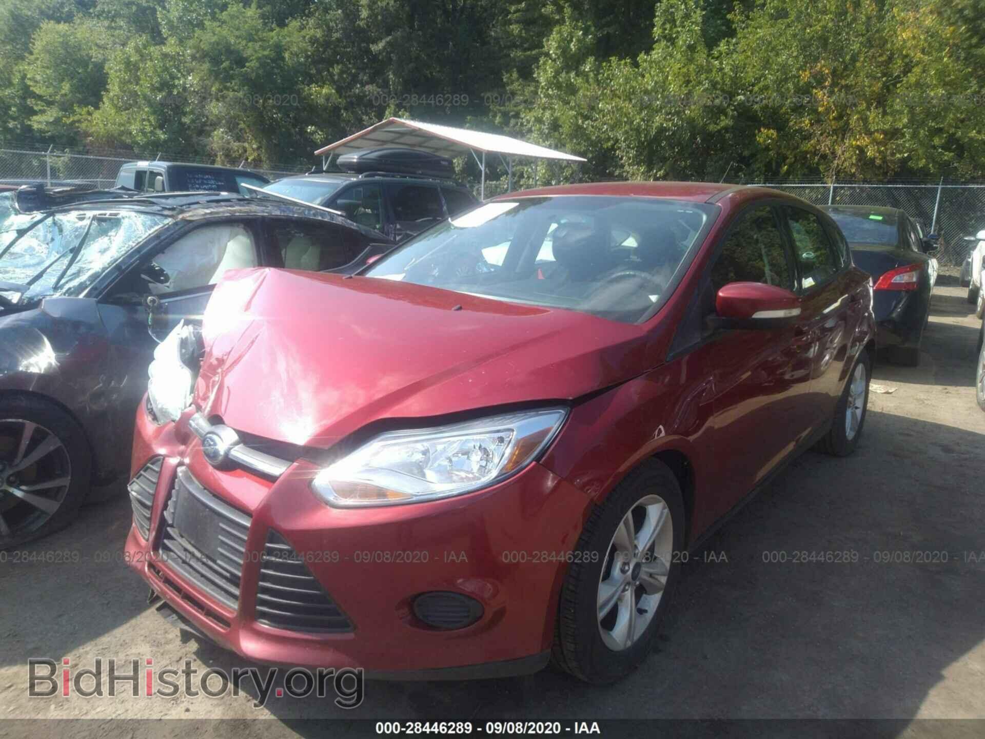 2014 FORD FOCUS - VIN: 1FADP3K27EL446543 - Фото 2