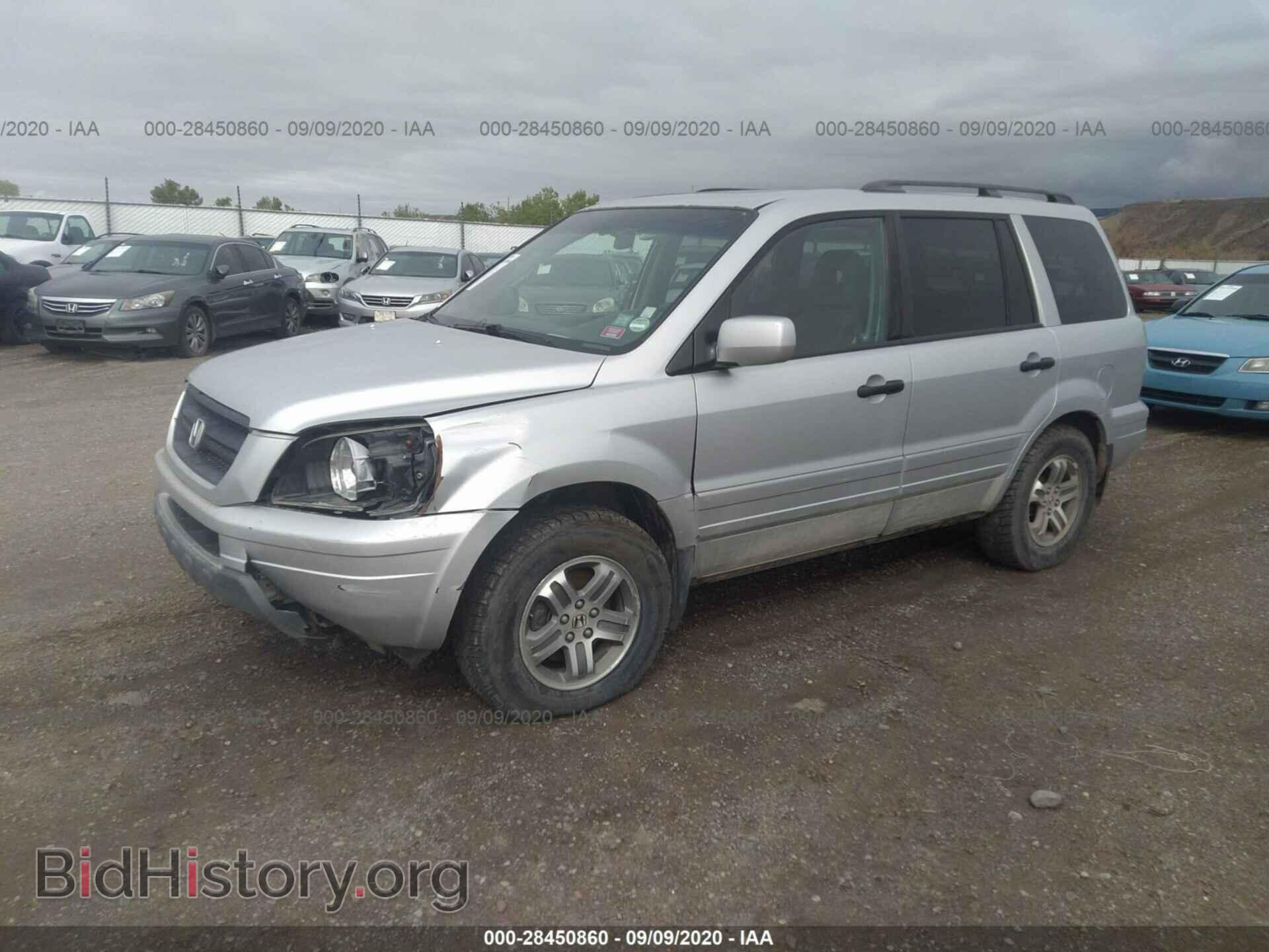 2005 HONDA PILOT - VIN: 5FNYF18565B038462 - Фото 2