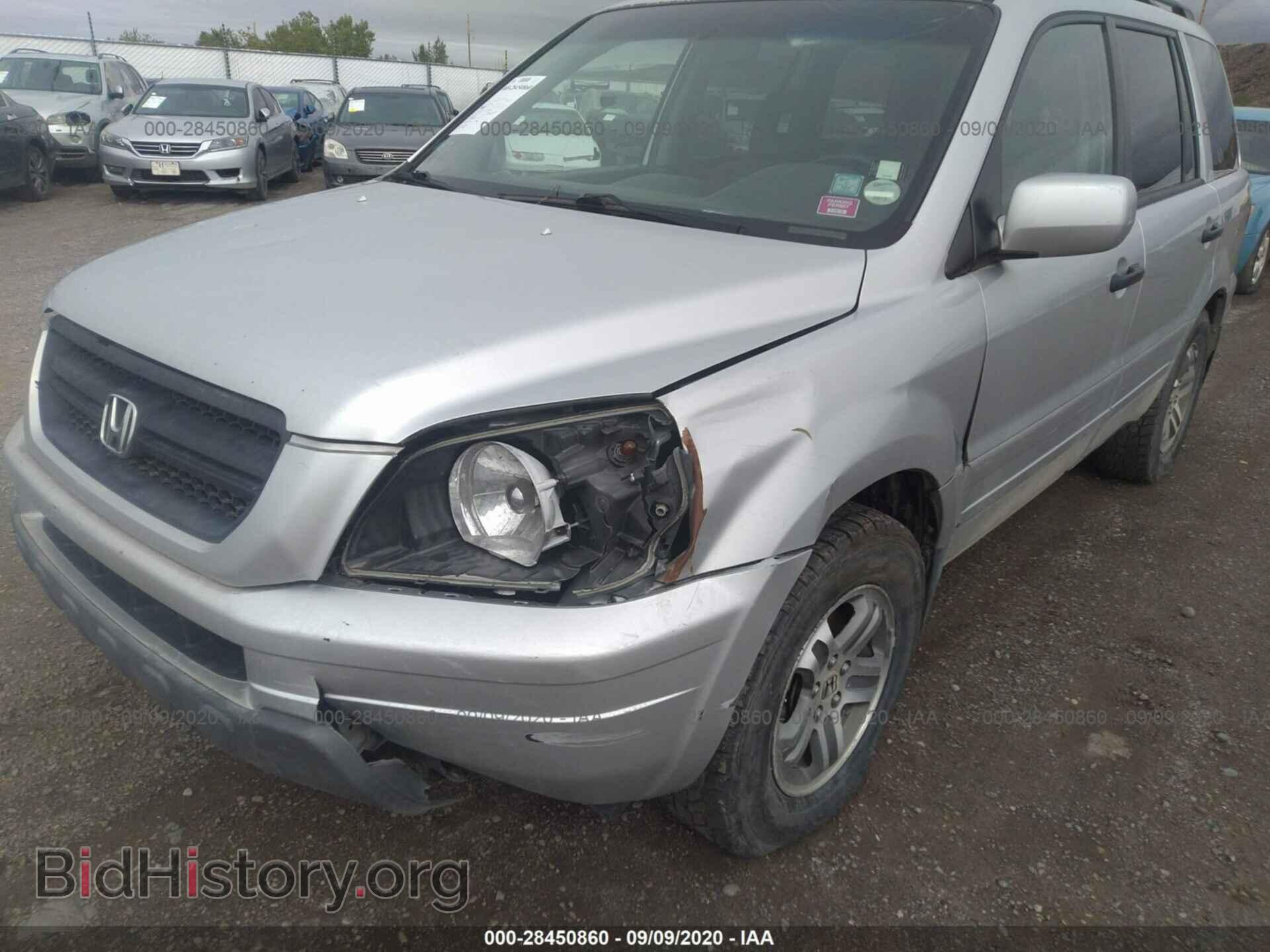 2005 HONDA PILOT - VIN: 5FNYF18565B038462 - Фото 6