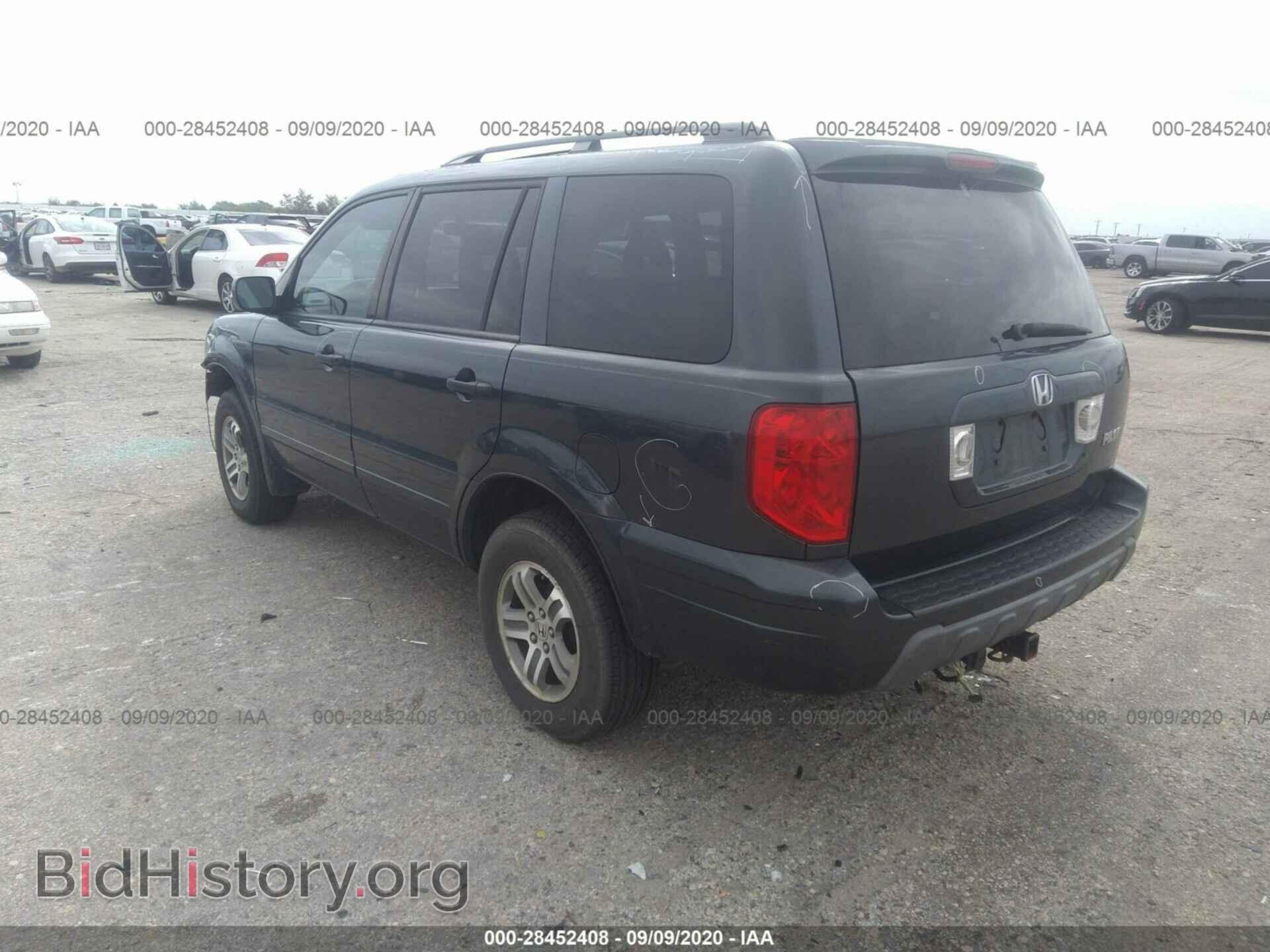 2005 HONDA PILOT - VIN: 5FNYF18425B031368 - Фото 3