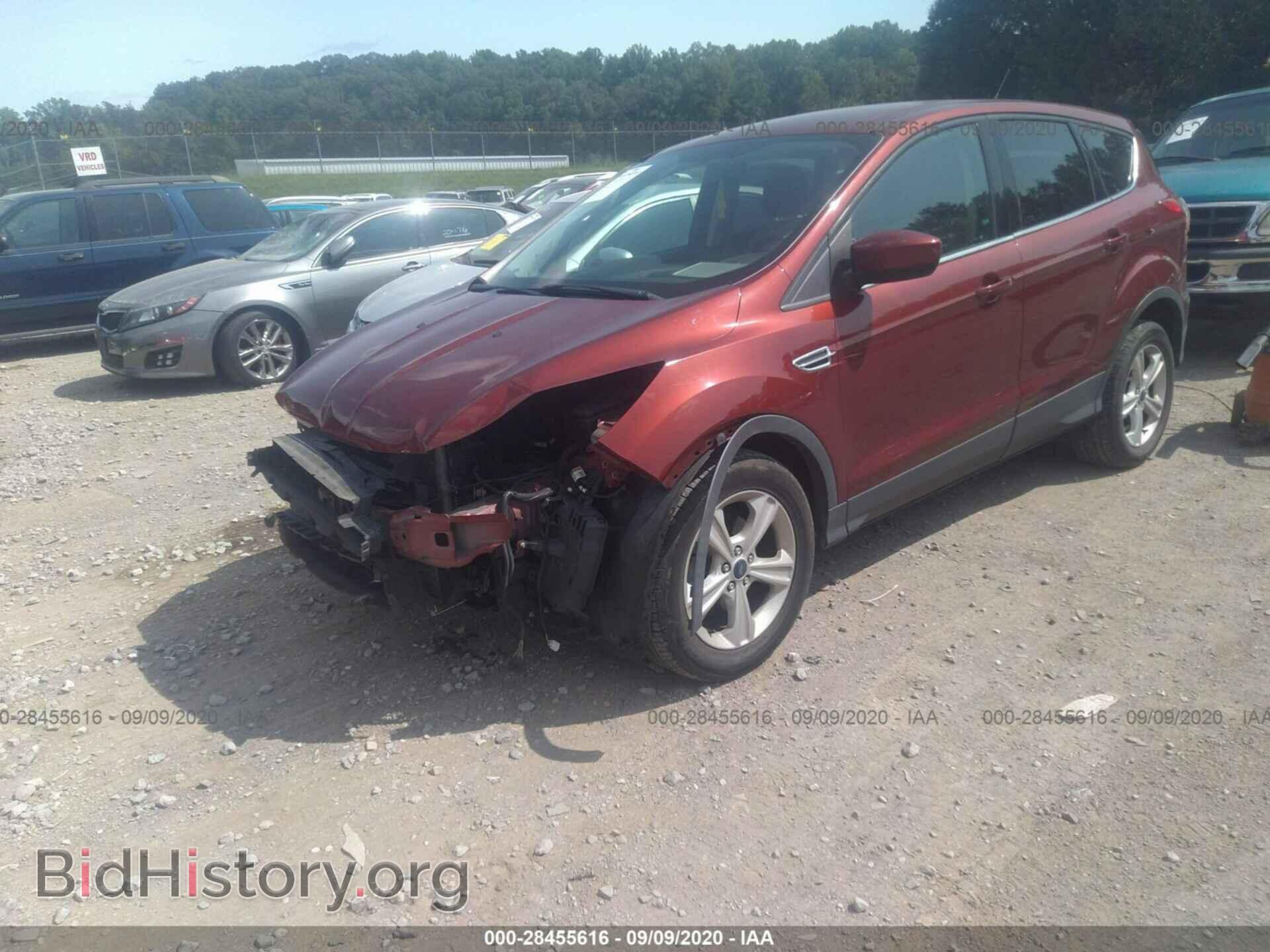 2014 FORD ESCAPE - VIN: 1FMCU0GX4EUA49816 - Фото 2