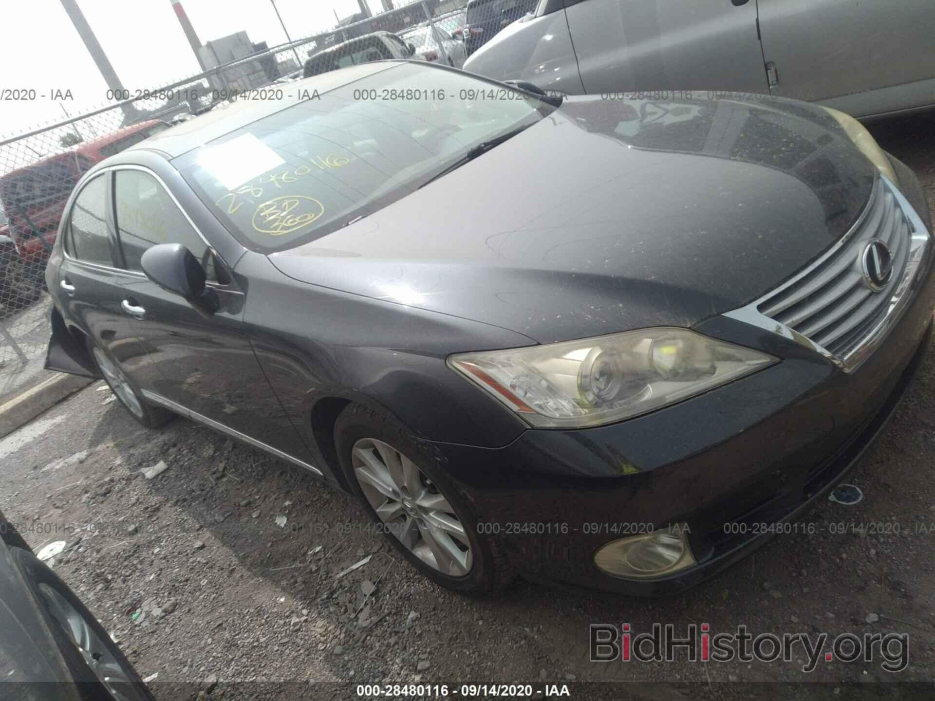 Фотография JTHBK1EG3A2396041 - LEXUS ES 350 2010