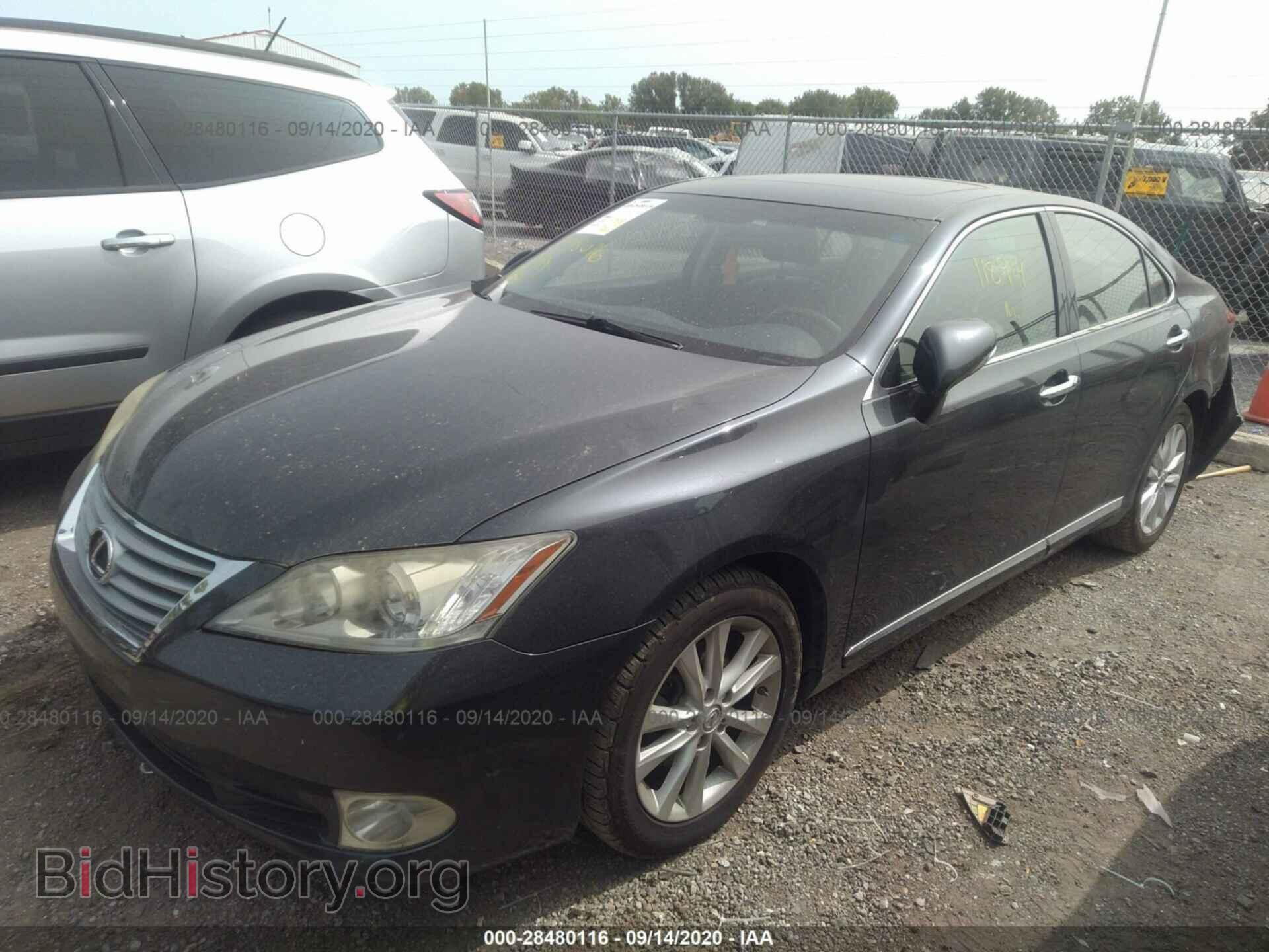 2010 LEXUS ES 350 - VIN: JTHBK1EG3A2396041 - Фото 2