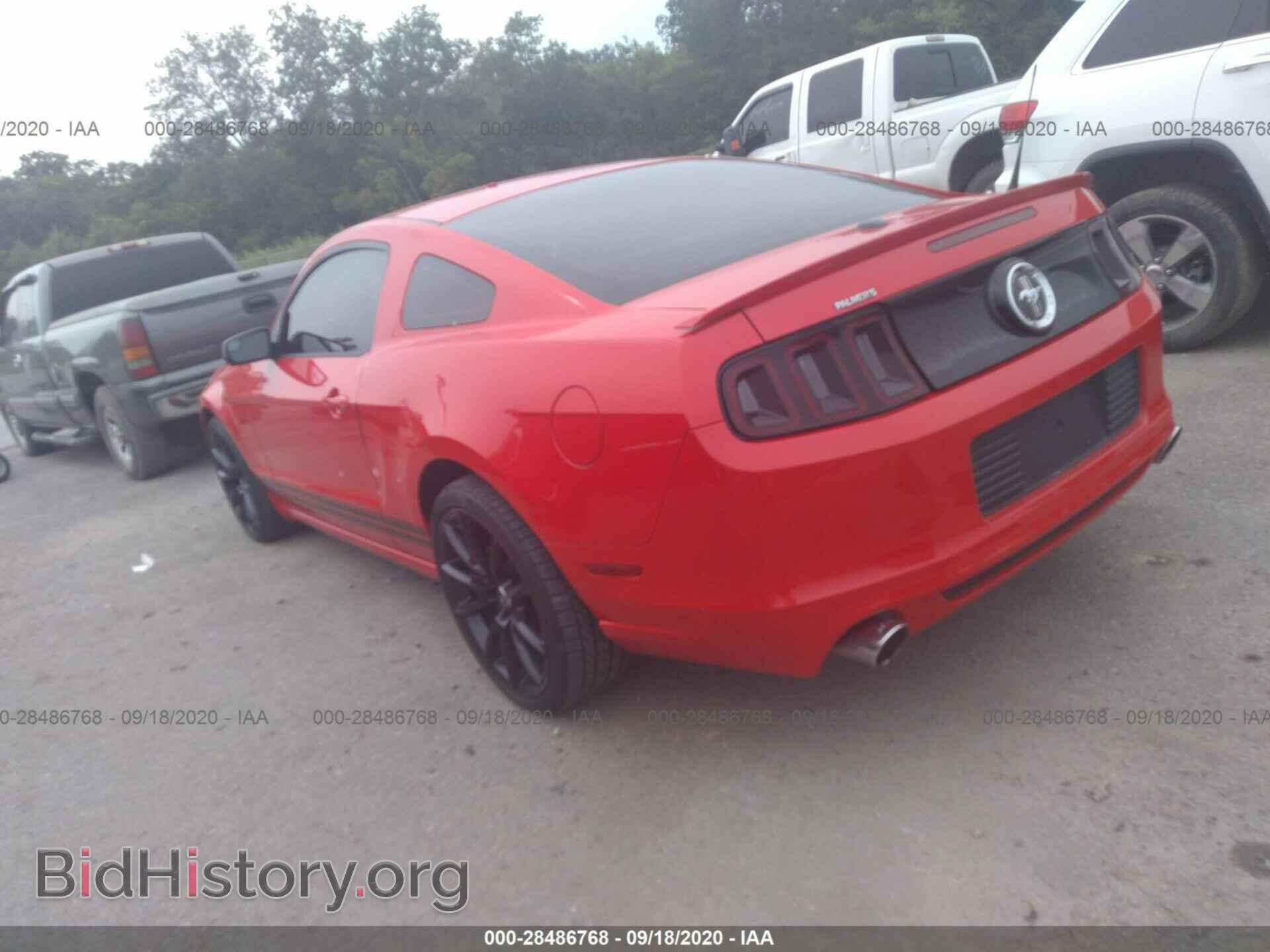 2013 FORD MUSTANG - VIN: 1ZVBP8AM3D5230240 - Фото 3