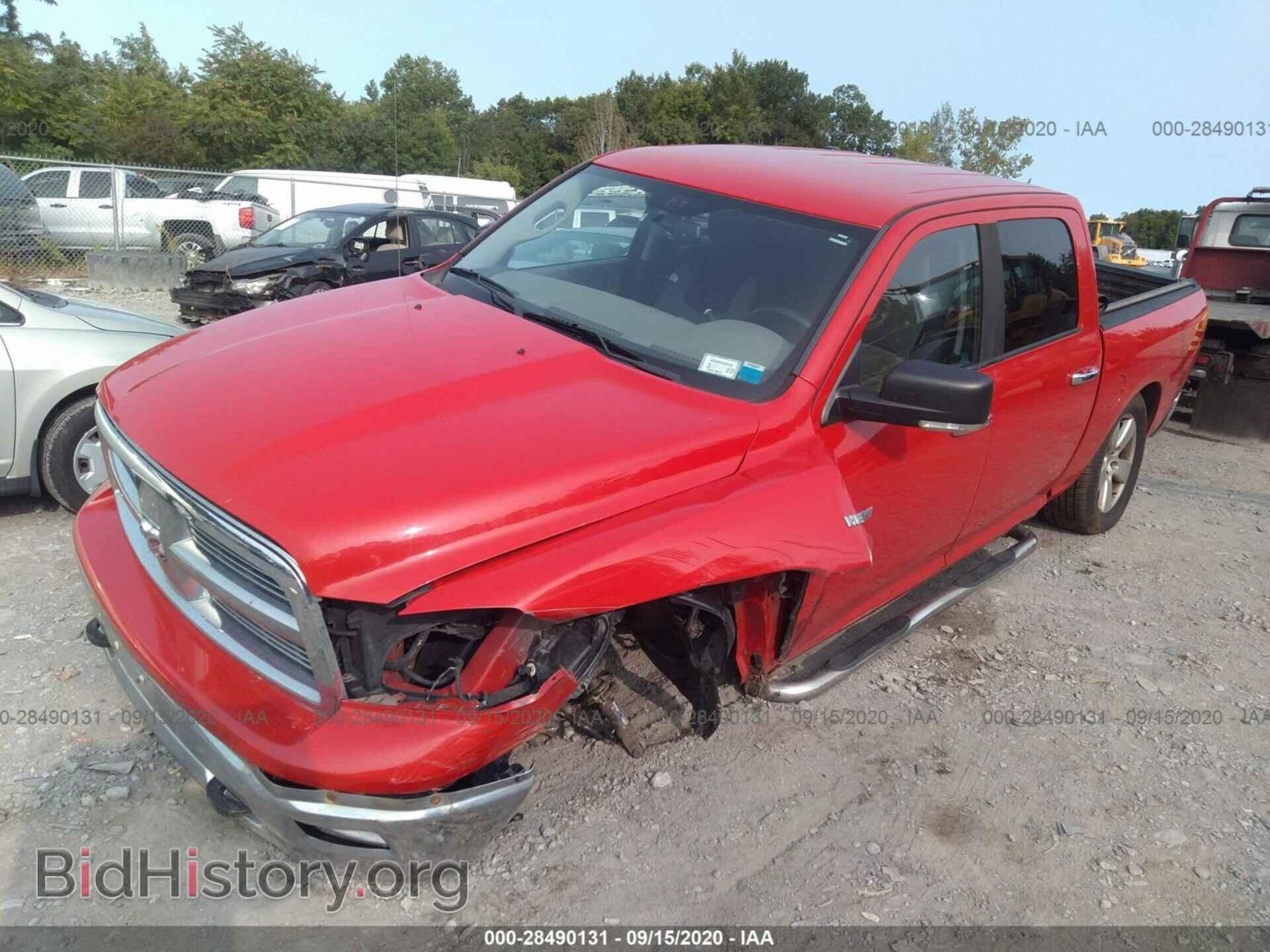 2009 DODGE RAM 1500 - VIN: 1D3HV13T19J528922 - Фото 2