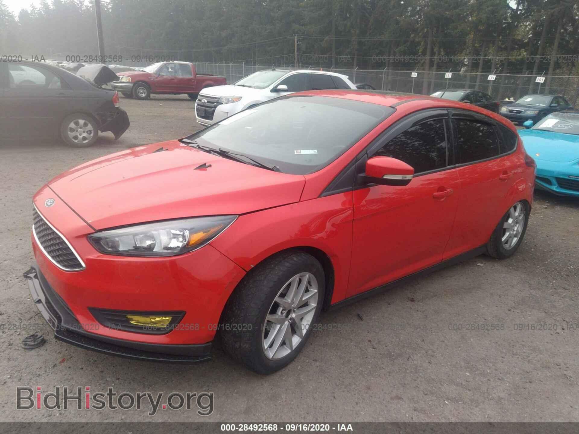 2015 FORD FOCUS - VIN: 1FADP3K28FL330219 - Фото 2
