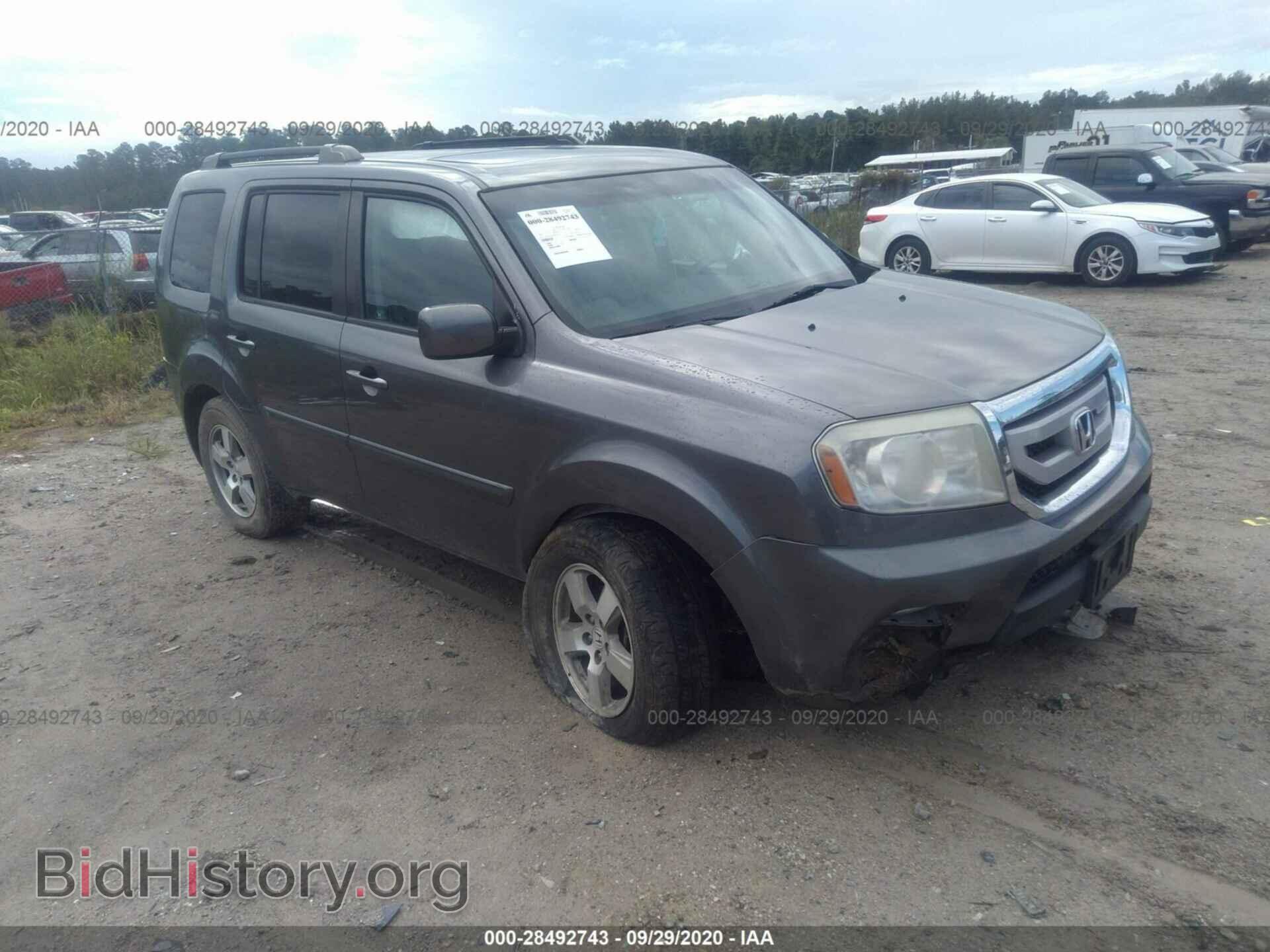Фотография 5FNYF3H52BB020287 - HONDA PILOT 2011