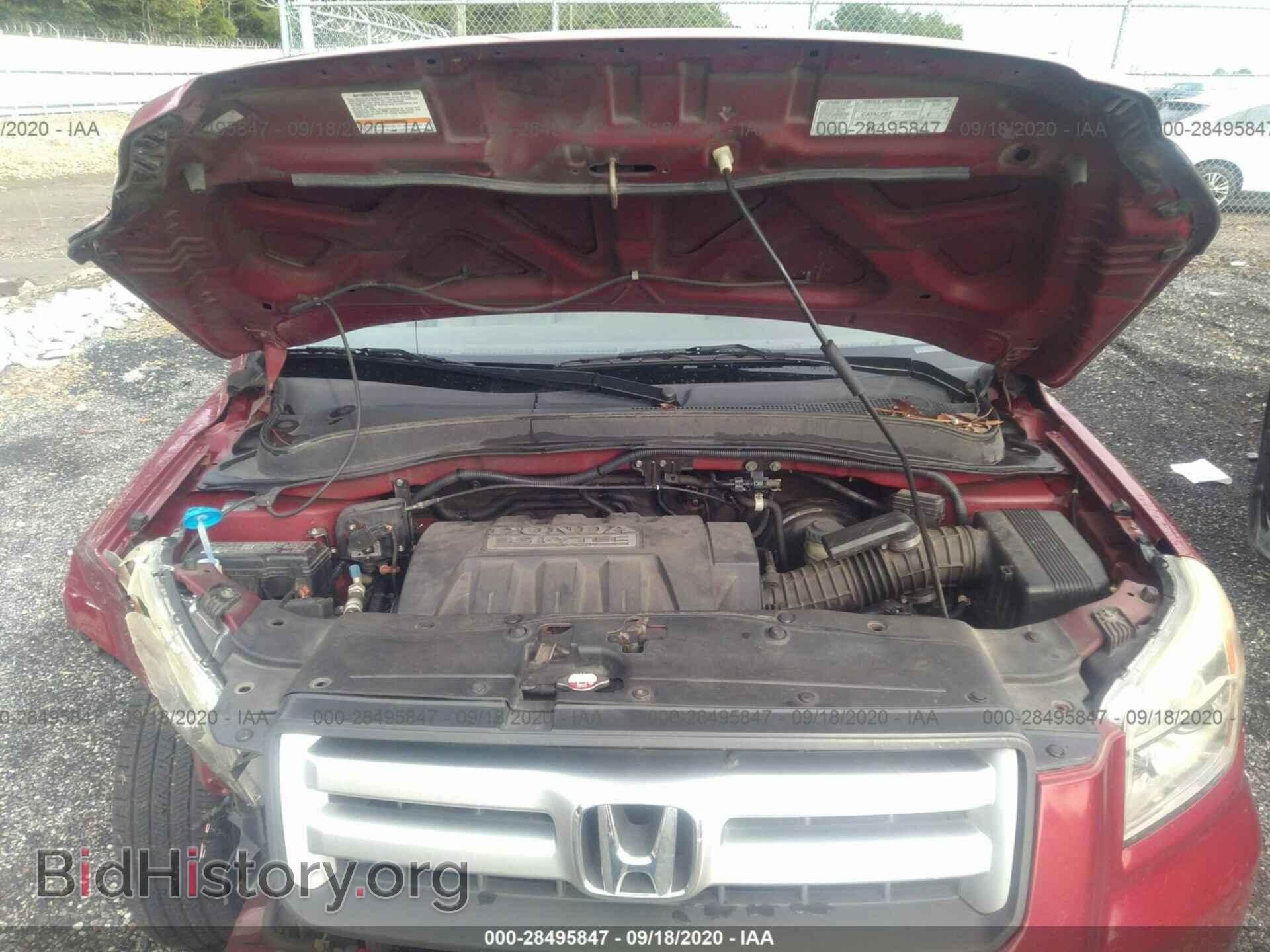 2006 HONDA PILOT - VIN: 5FNYF28636B033879 - Фото 10