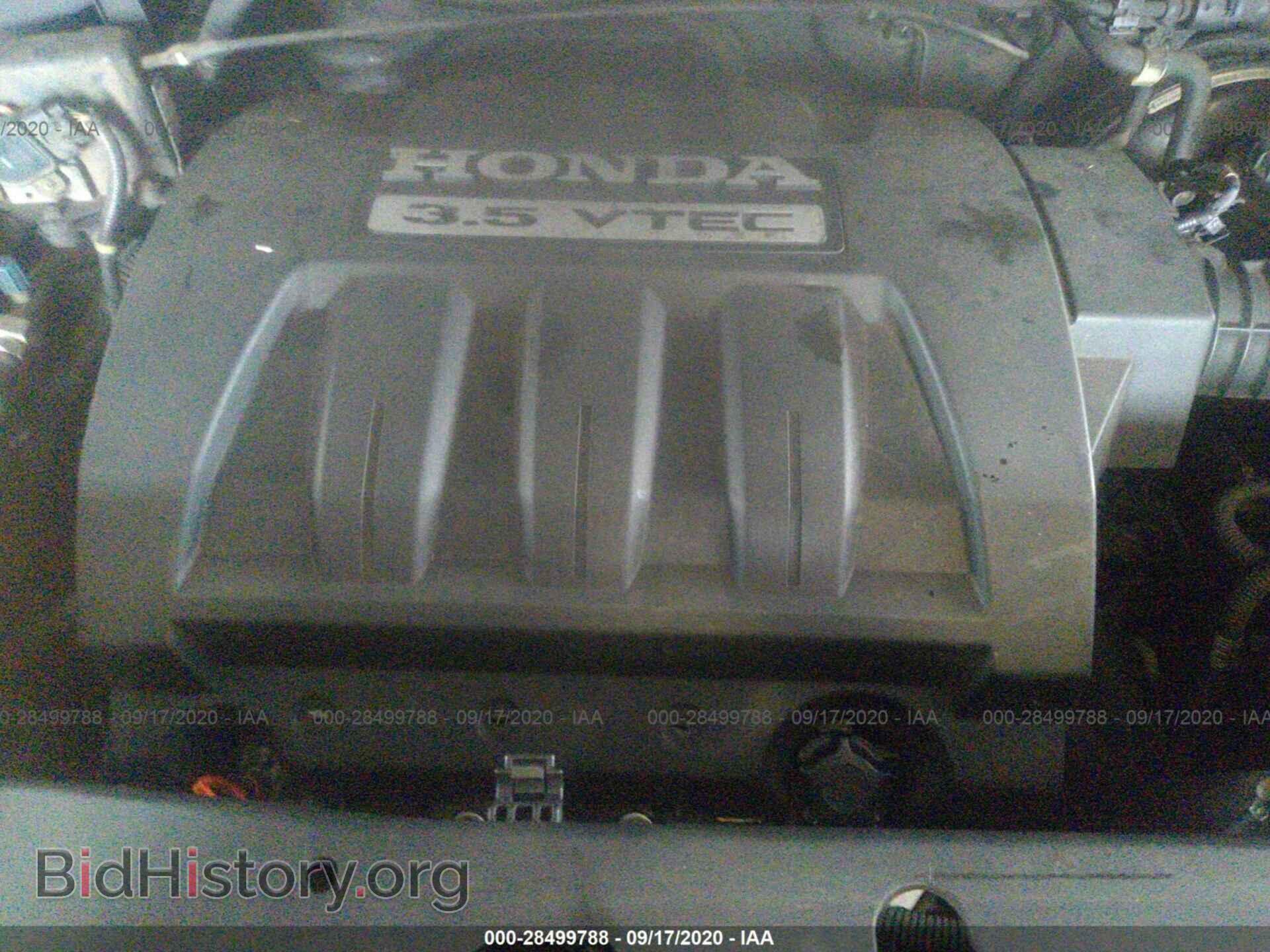 2005 HONDA PILOT - VIN: 5FNYF18475B021211 - Фото 10