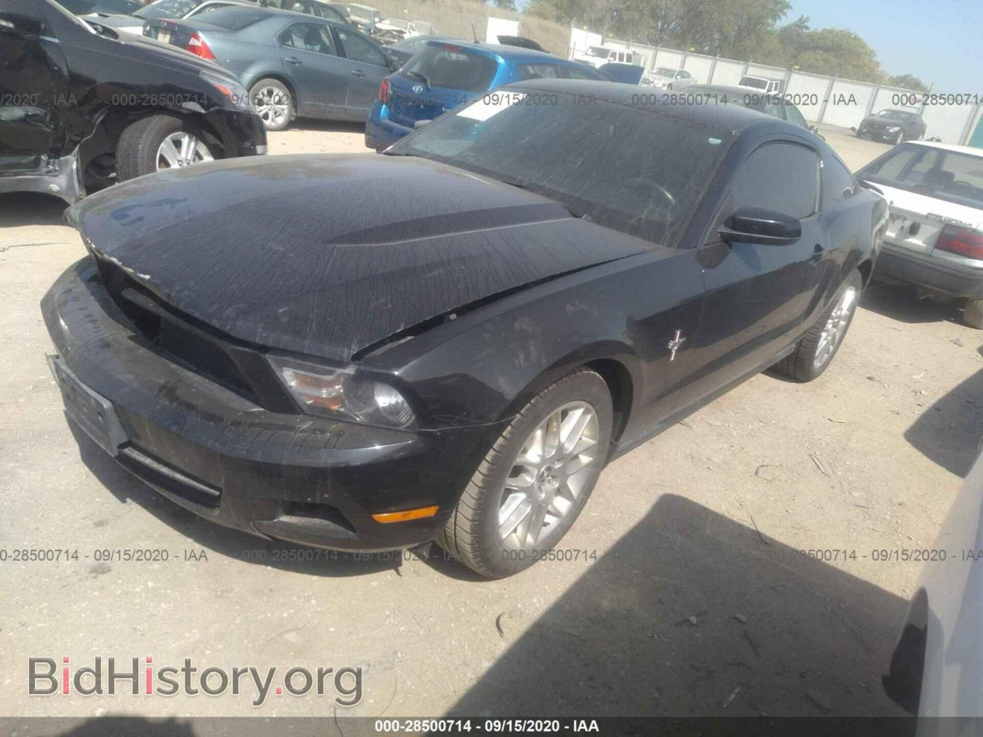 2012 FORD MUSTANG - VIN: 1ZVBP8AM9C5201064 - Фото 2