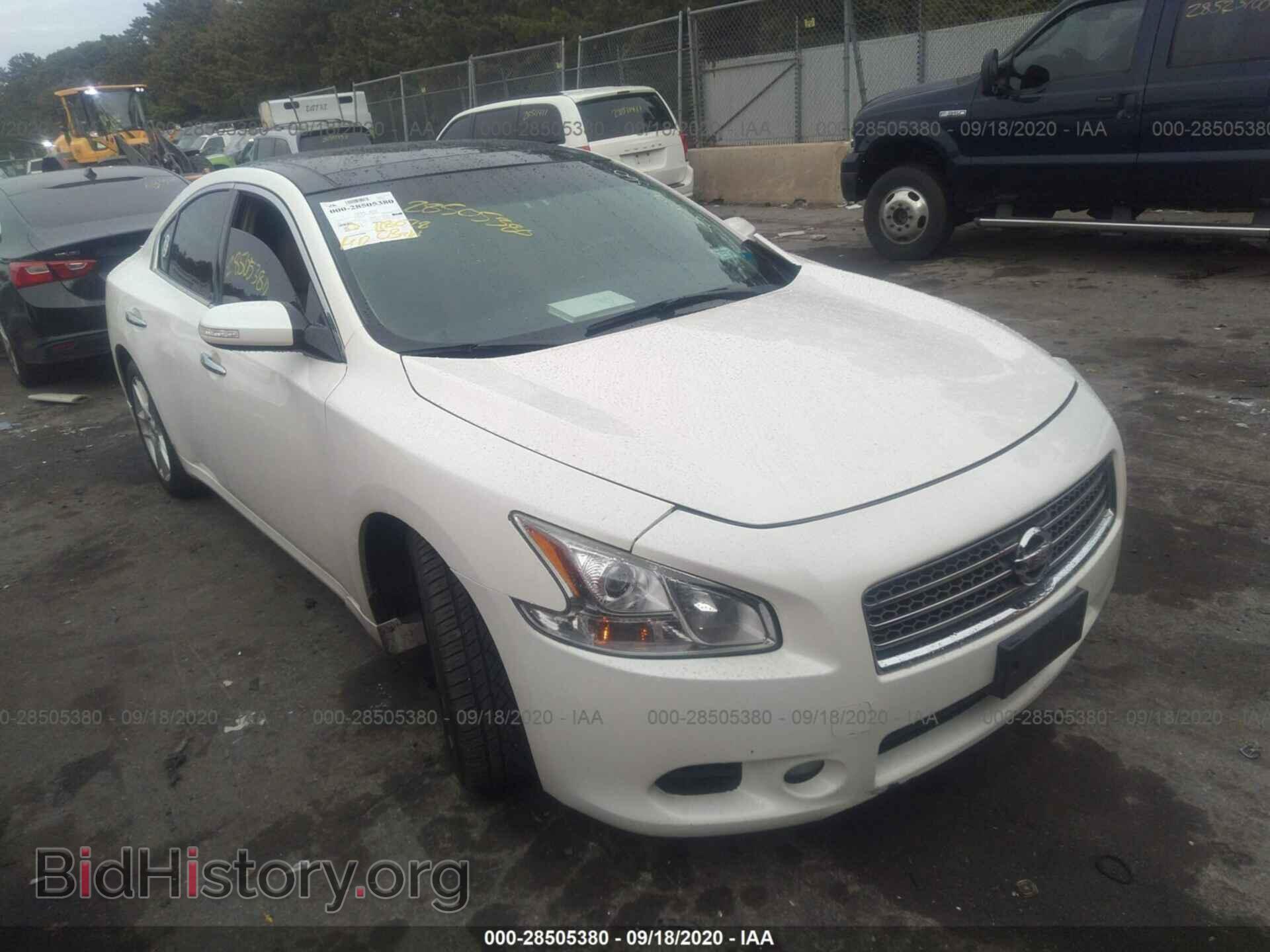 Фотография 1N4AA5AP9BC859119 - NISSAN MAXIMA 2011
