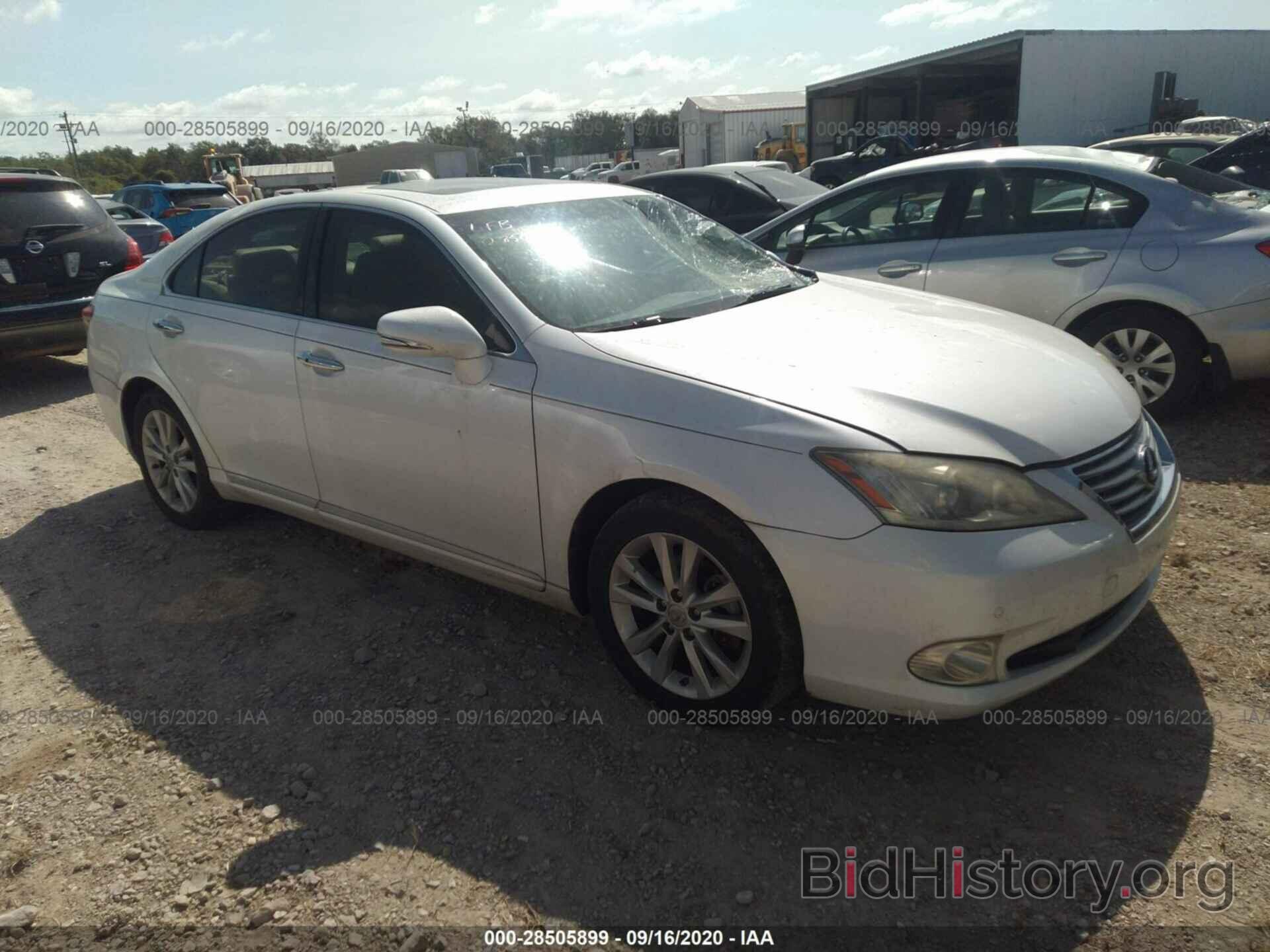 Фотография JTHBK1EG6B2468190 - LEXUS ES 350 2011