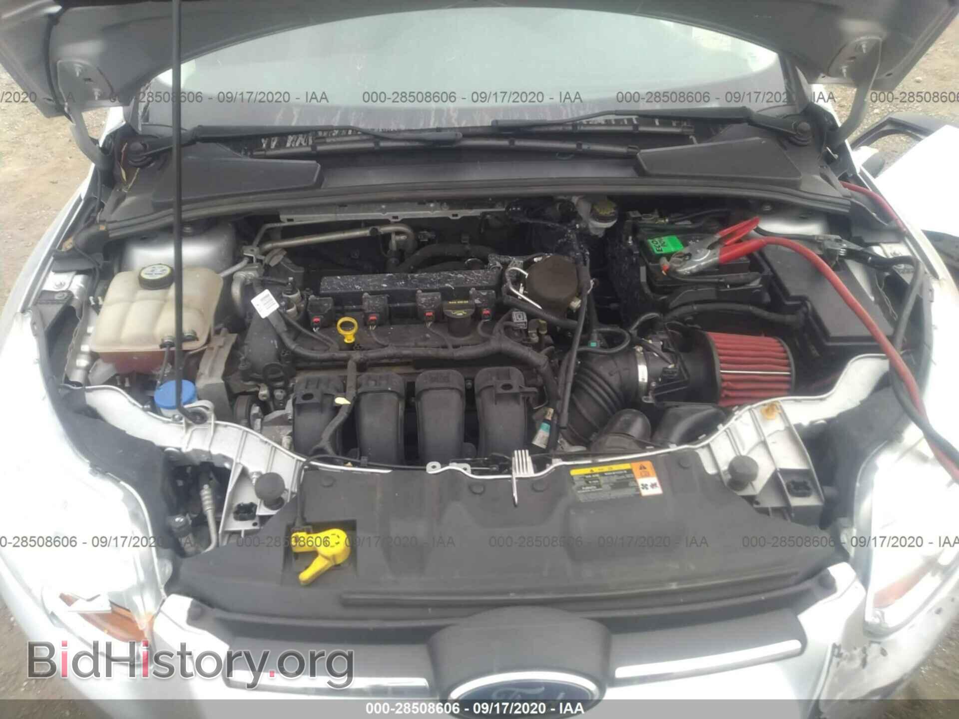 2013 FORD FOCUS - VIN: 1FADP3K24DL224704 - Фото 10