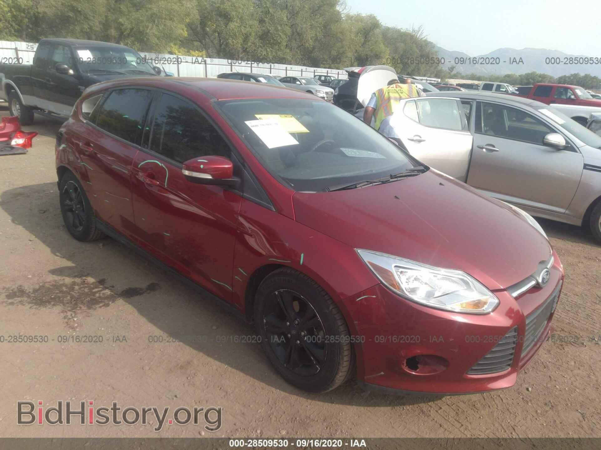 Photo 1FADP3K29EL374423 - FORD FOCUS 2014