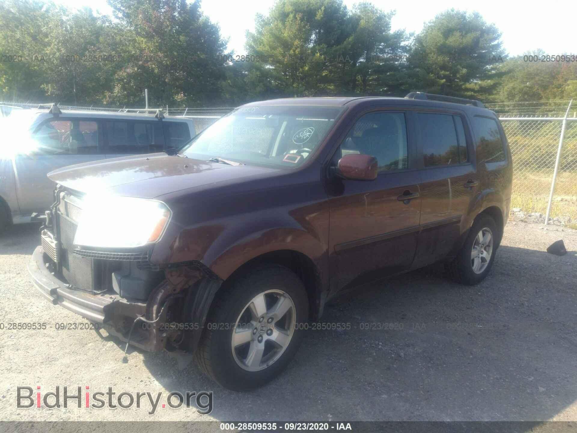 2009 HONDA PILOT - VIN: 5FNYF48689B030492 - Фото 2