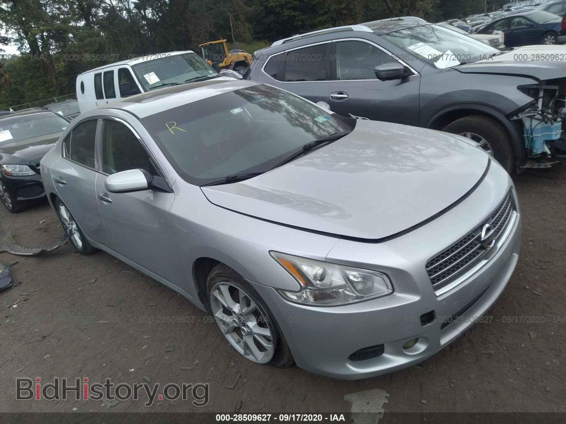 Фотография 1N4AA5AP4AC825667 - NISSAN MAXIMA 2010