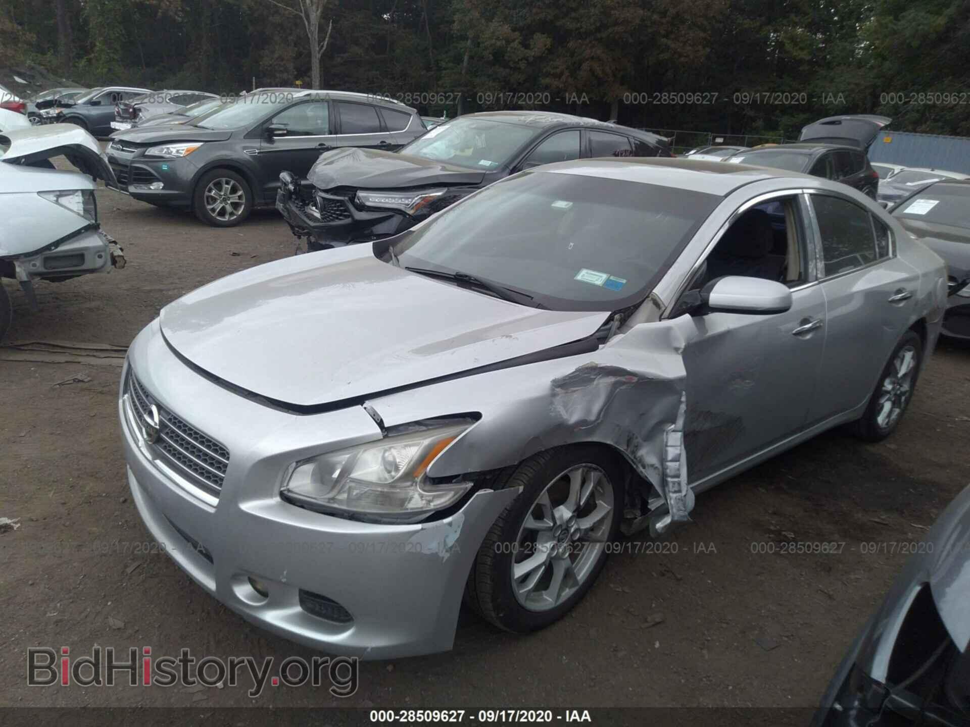 2010 NISSAN MAXIMA - VIN: 1N4AA5AP4AC825667 - Фото 2