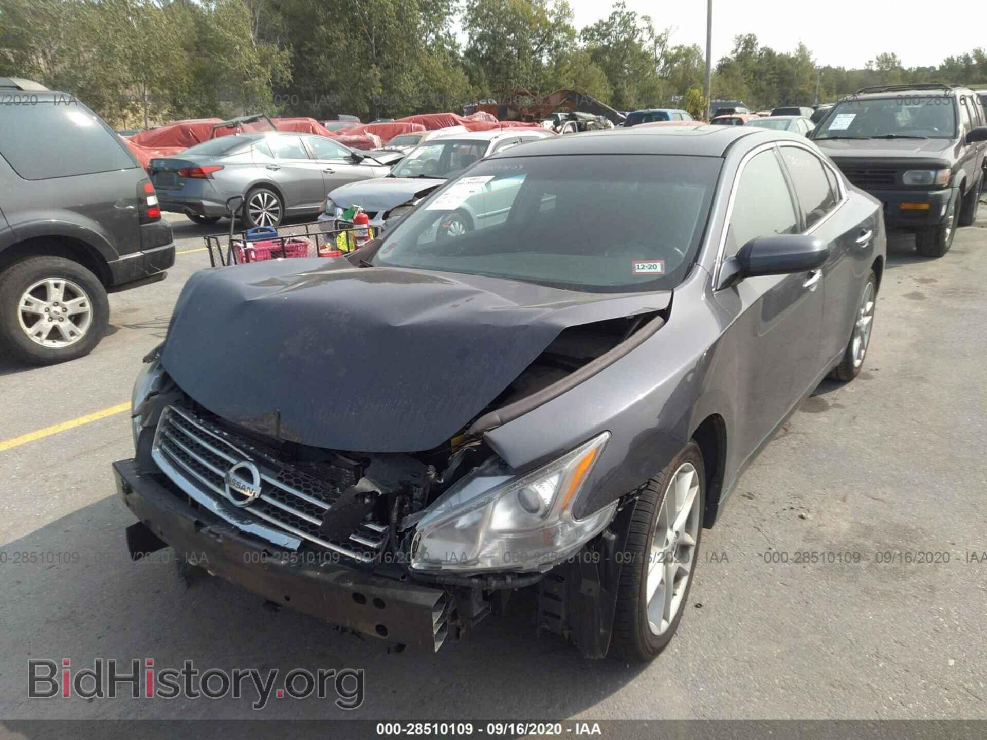 2010 NISSAN MAXIMA - VIN: 1N4AA5AP1AC857511 - Фото 2