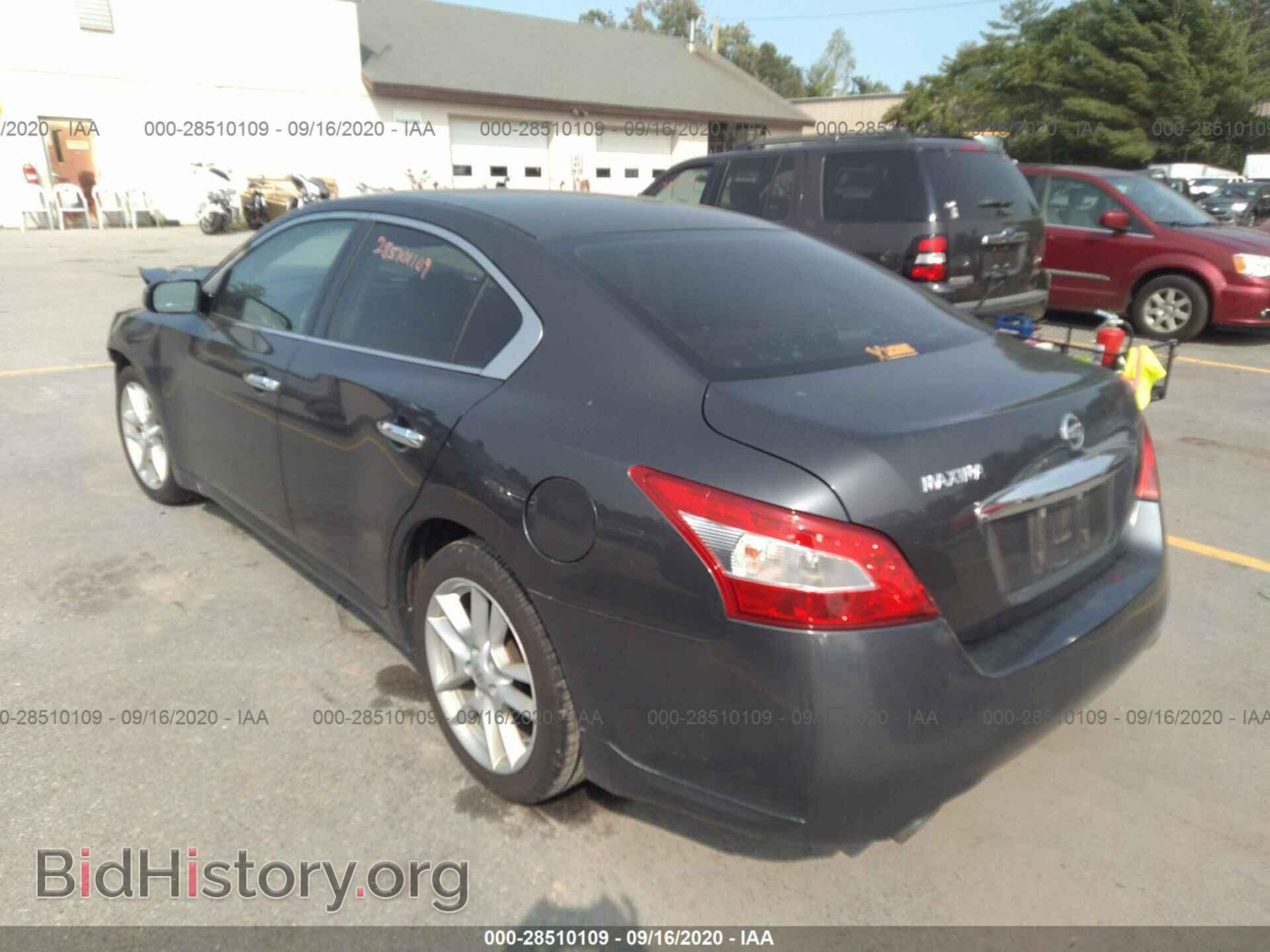 2010 NISSAN MAXIMA - VIN: 1N4AA5AP1AC857511 - Фото 3