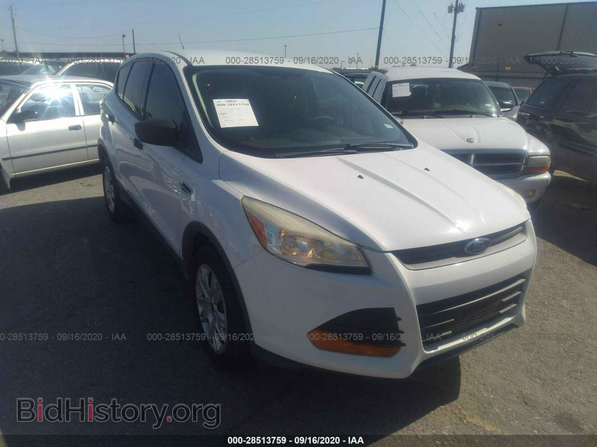 Photo 1FMCU0F70DUB47581 - FORD ESCAPE 2013