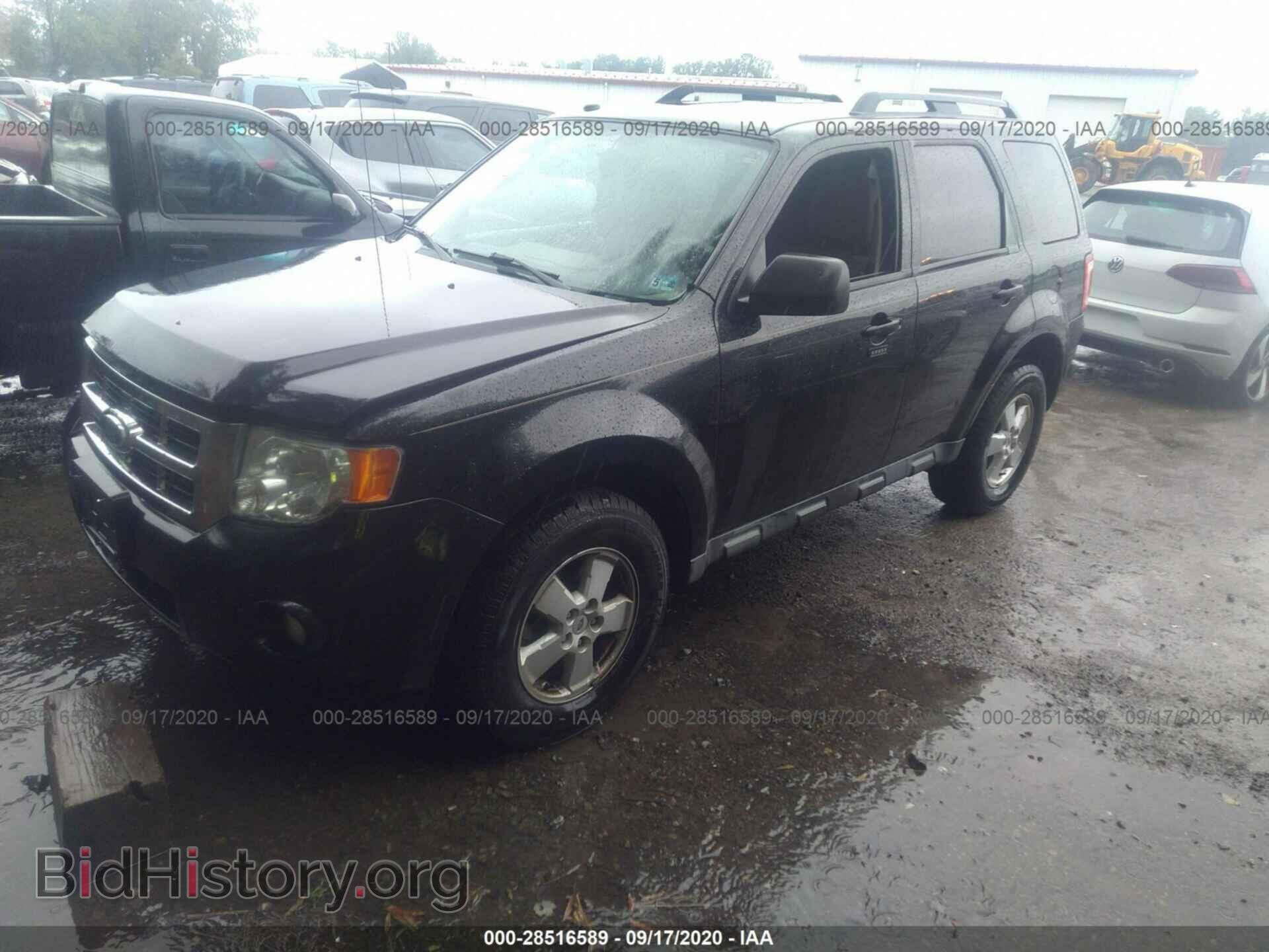 2011 FORD ESCAPE - VIN: 1FMCU0DG7BKA53435 - Photo 2