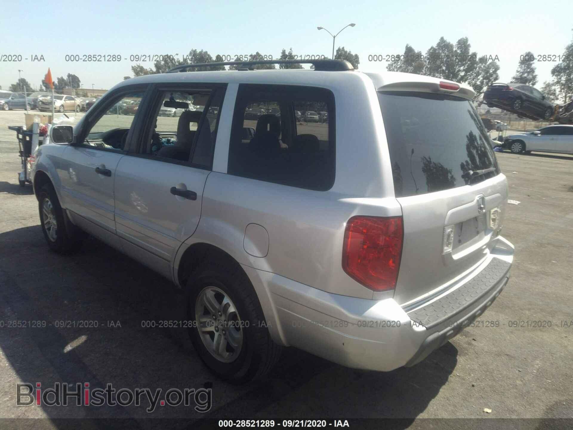 2005 HONDA PILOT - VIN: 2HKYF18465H546861 - Фото 3