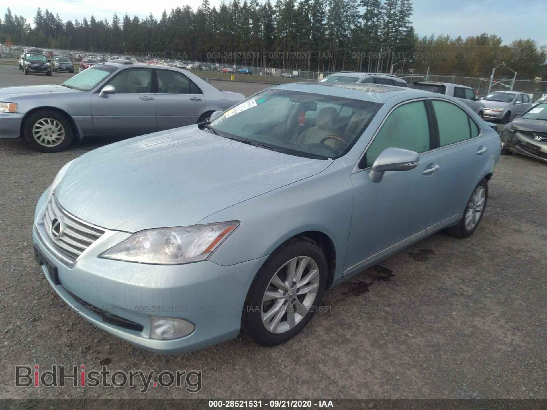 2010 LEXUS ES 350 - VIN: JTHBK1EG3A2342397 - Фото 2