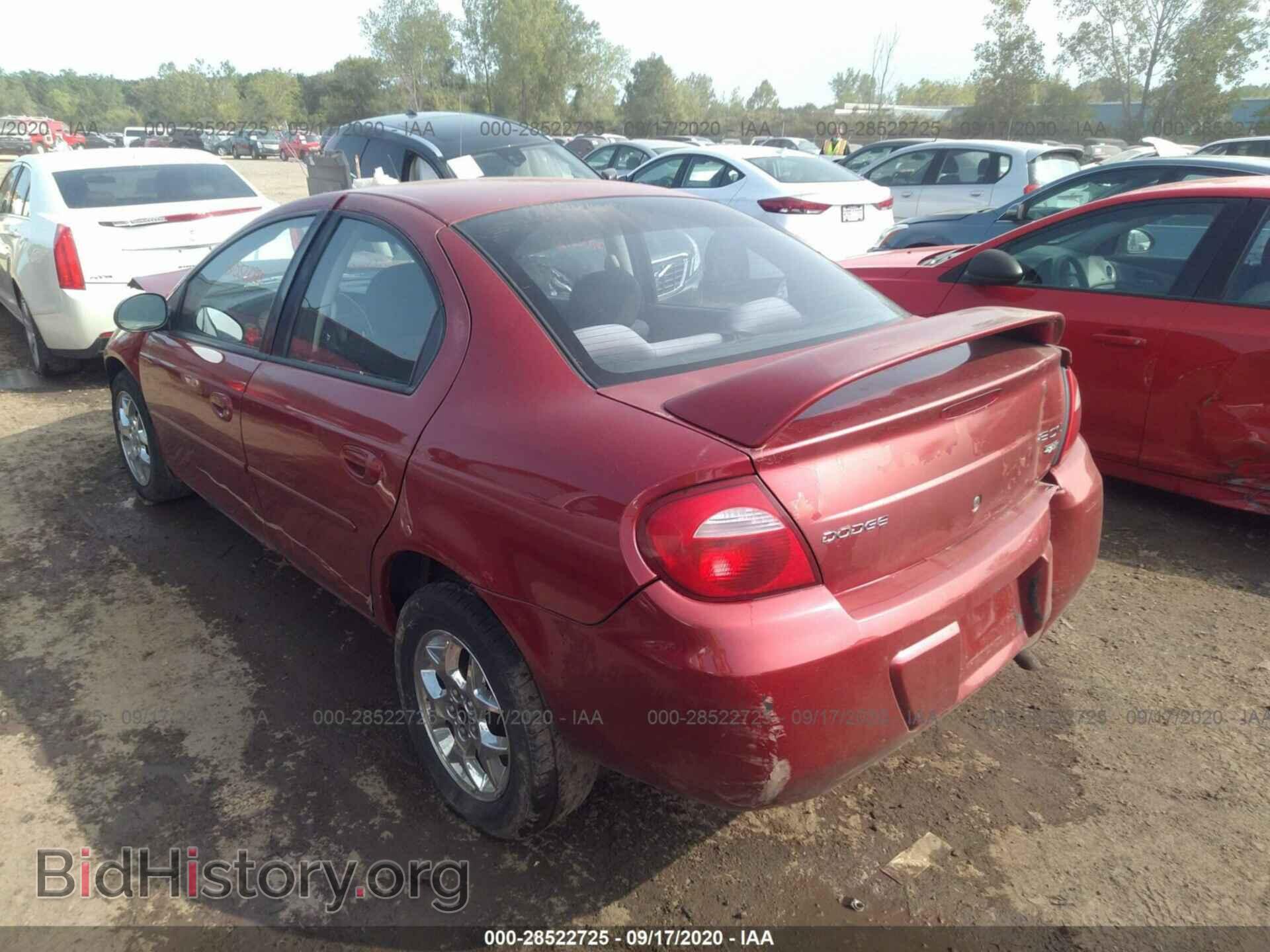 2003 DODGE NEON - VIN: 1B3ES56C83D141038 - Фото 3