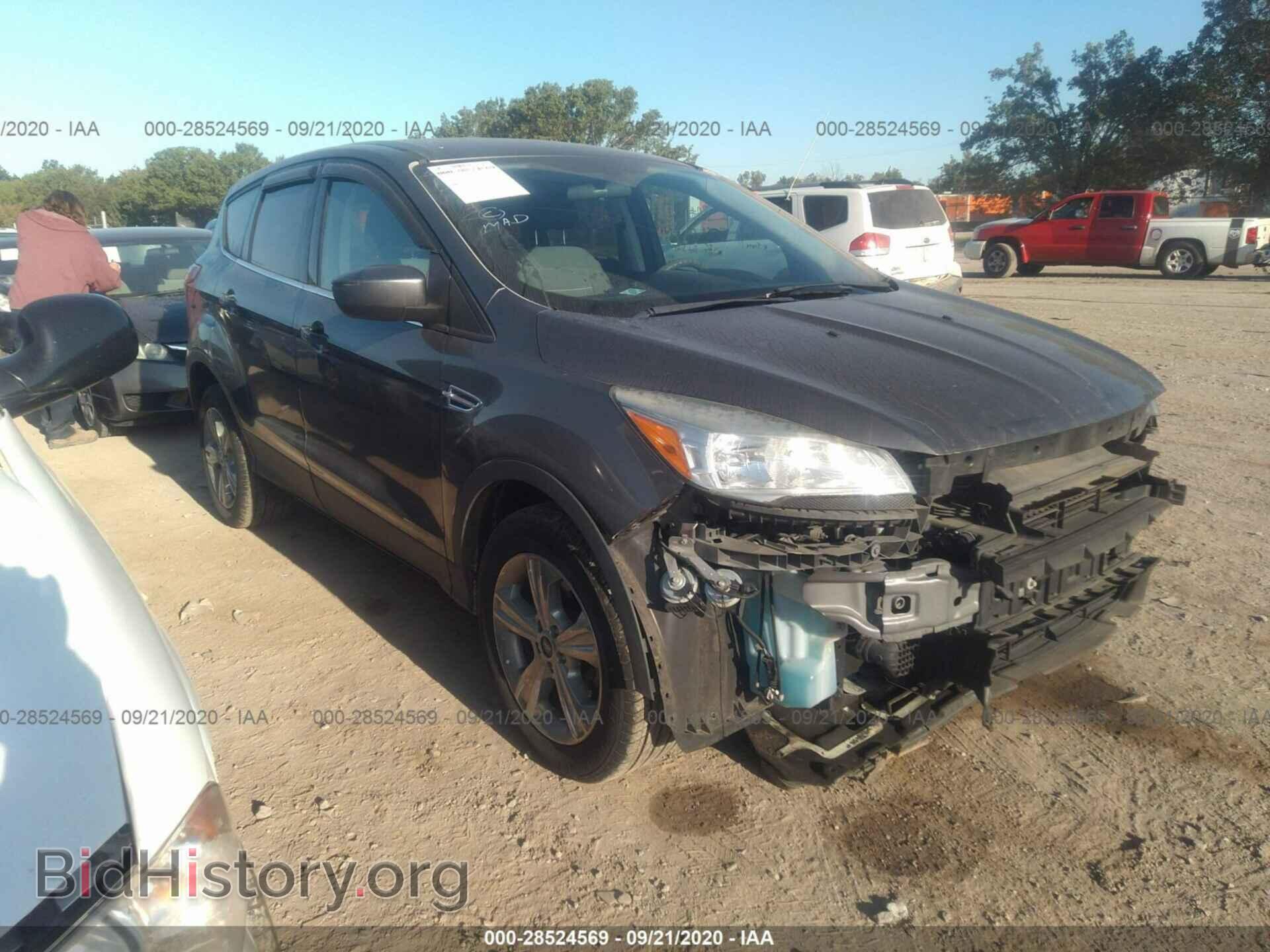 Photo 1FMCU0GX7DUD08782 - FORD ESCAPE 2013