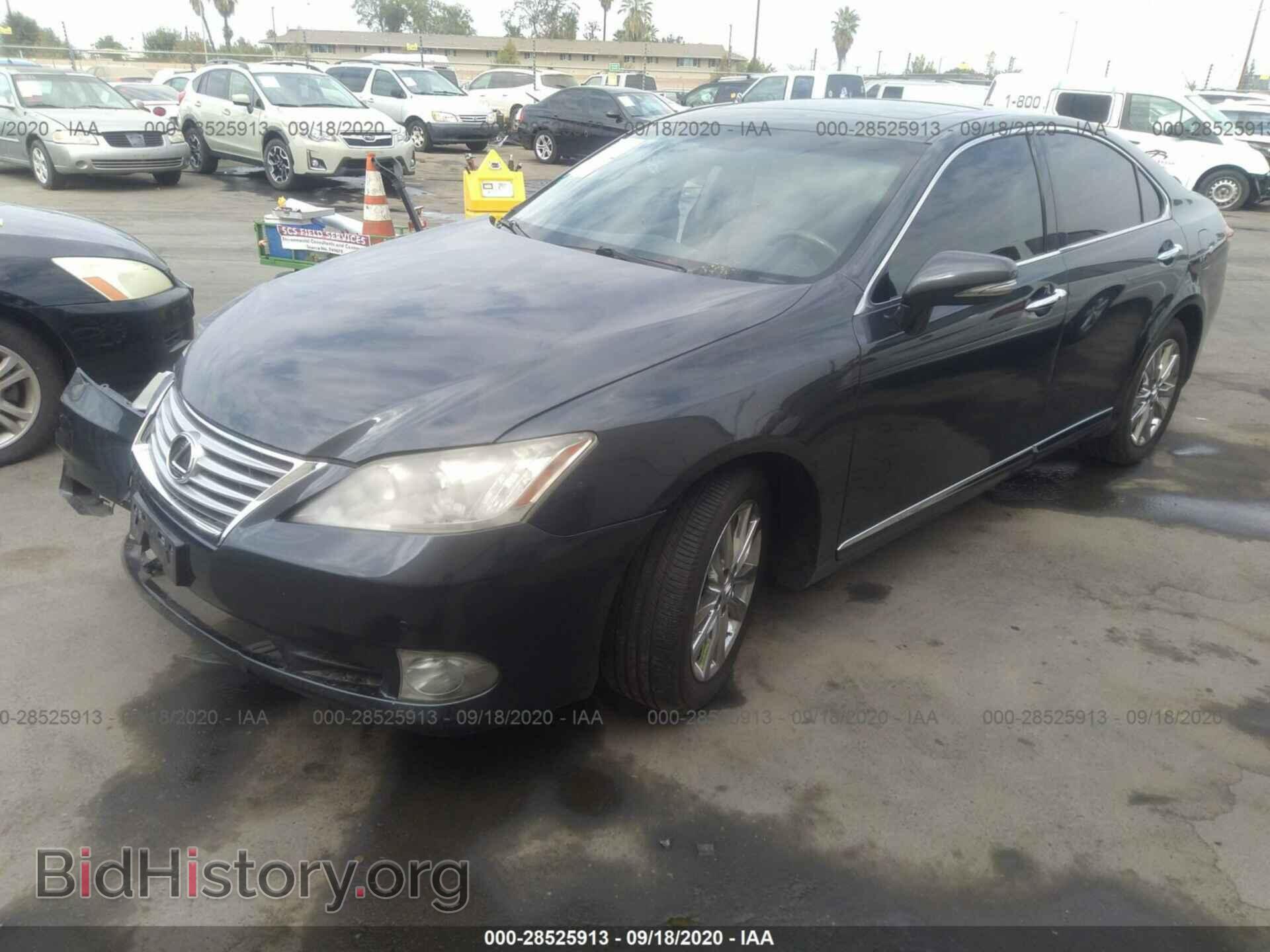 2010 LEXUS ES 350 - VIN: JTHBK1EG0A2383814 - Фото 2