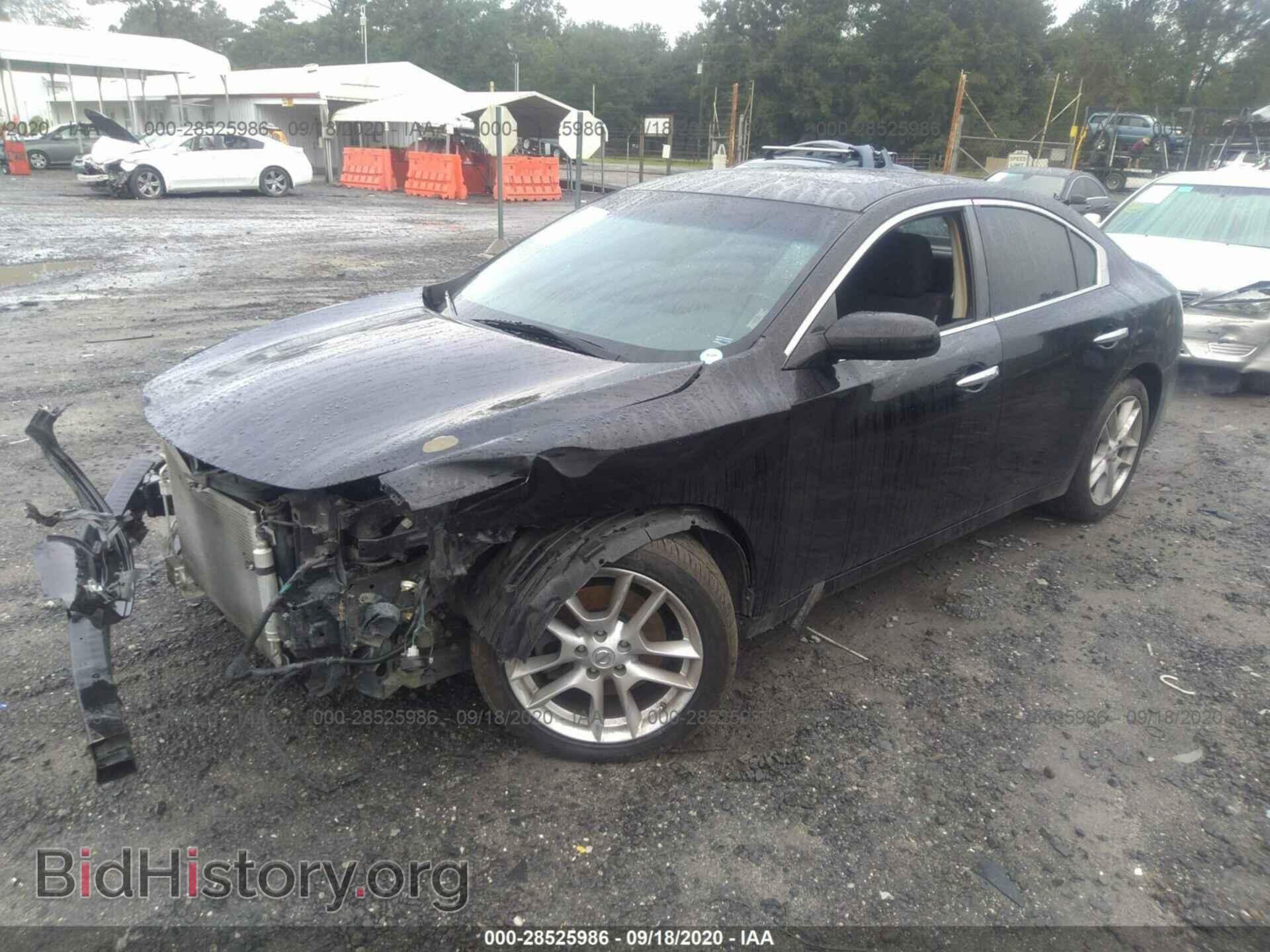 2013 NISSAN MAXIMA - VIN: 1N4AA5AP1DC843743 - Фото 2