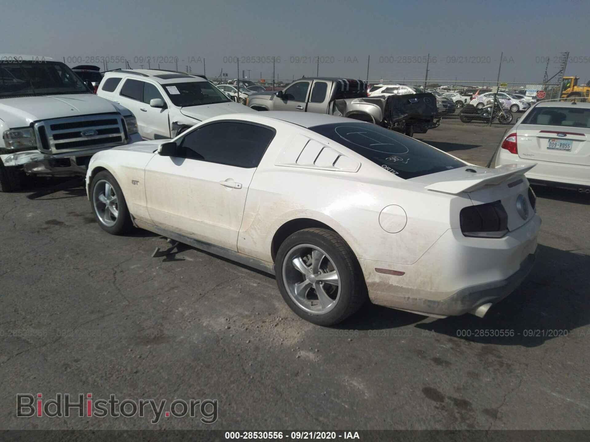 2010 FORD MUSTANG - VIN: 1ZVBP8CH8A5152324 - Фото 3