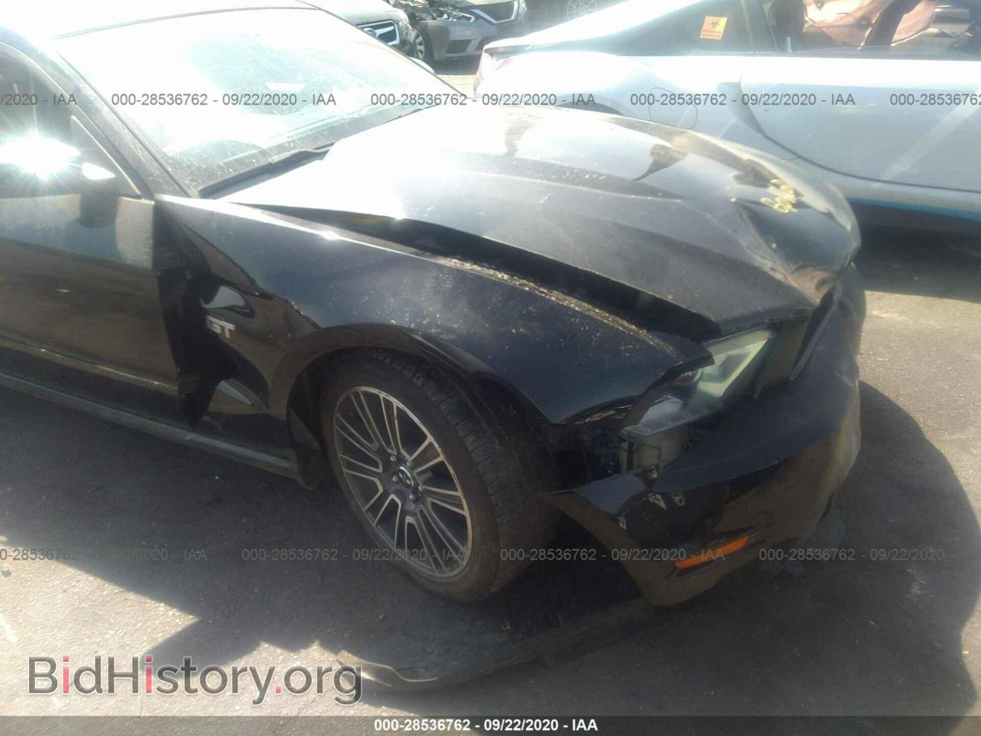 2010 FORD MUSTANG - VIN: 1ZVBP8CH6A5121718 - Фото 6