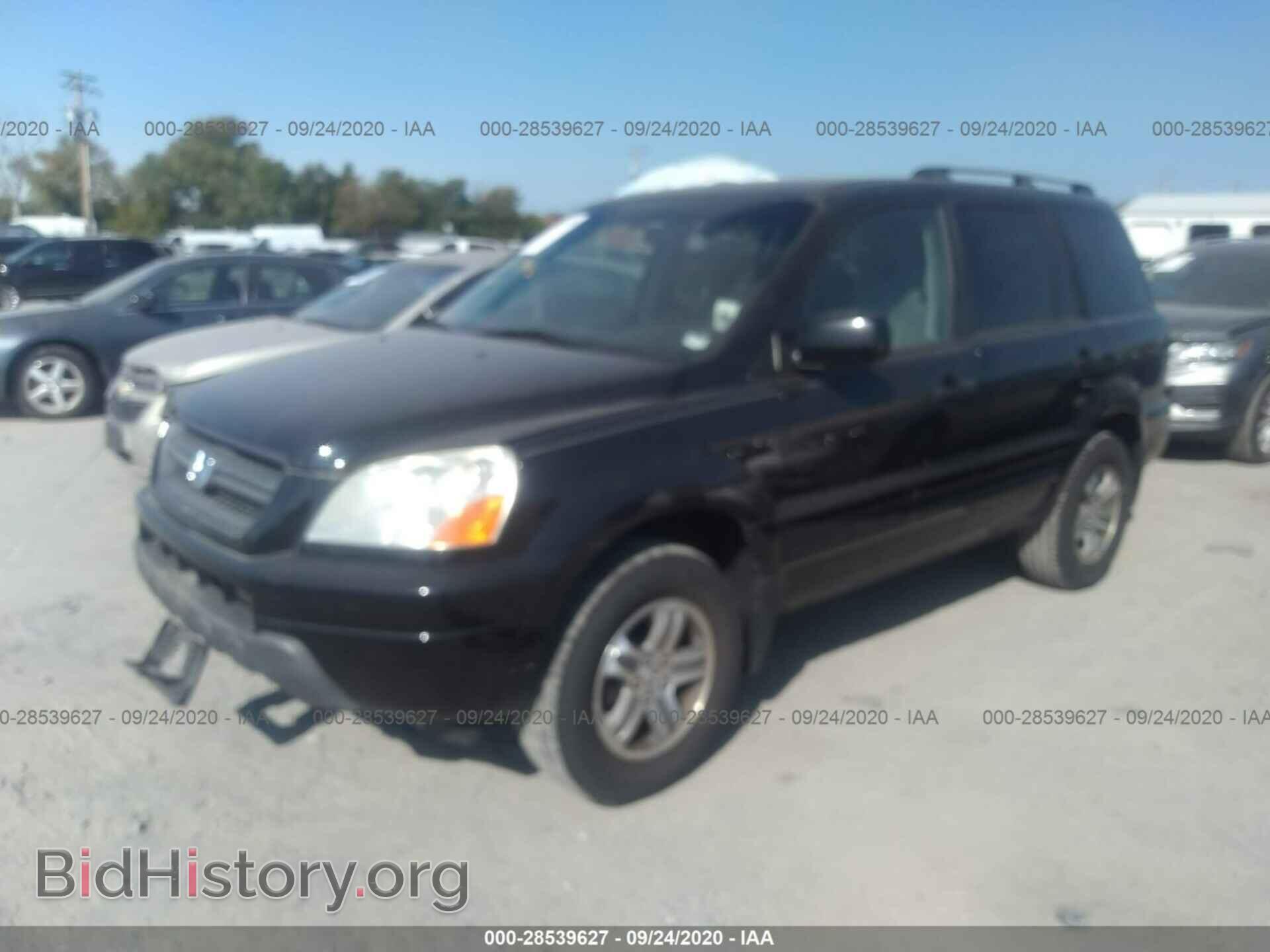 2005 HONDA PILOT - VIN: 5FNYF18405B063140 - Фото 2