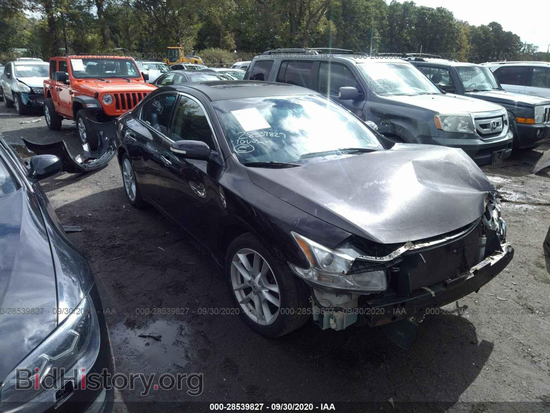 Фотография 1N4AA5AP7AC811505 - NISSAN MAXIMA 2010