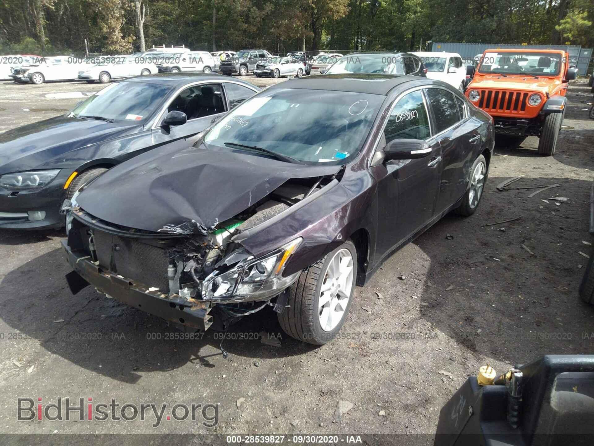 2010 NISSAN MAXIMA - VIN: 1N4AA5AP7AC811505 - Фото 2