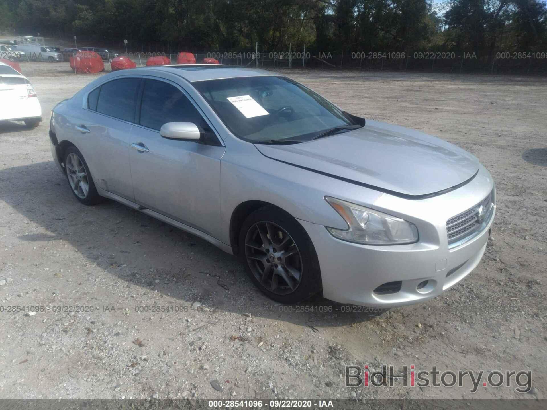 Photo 1N4AA5AP0BC833086 - NISSAN MAXIMA 2011