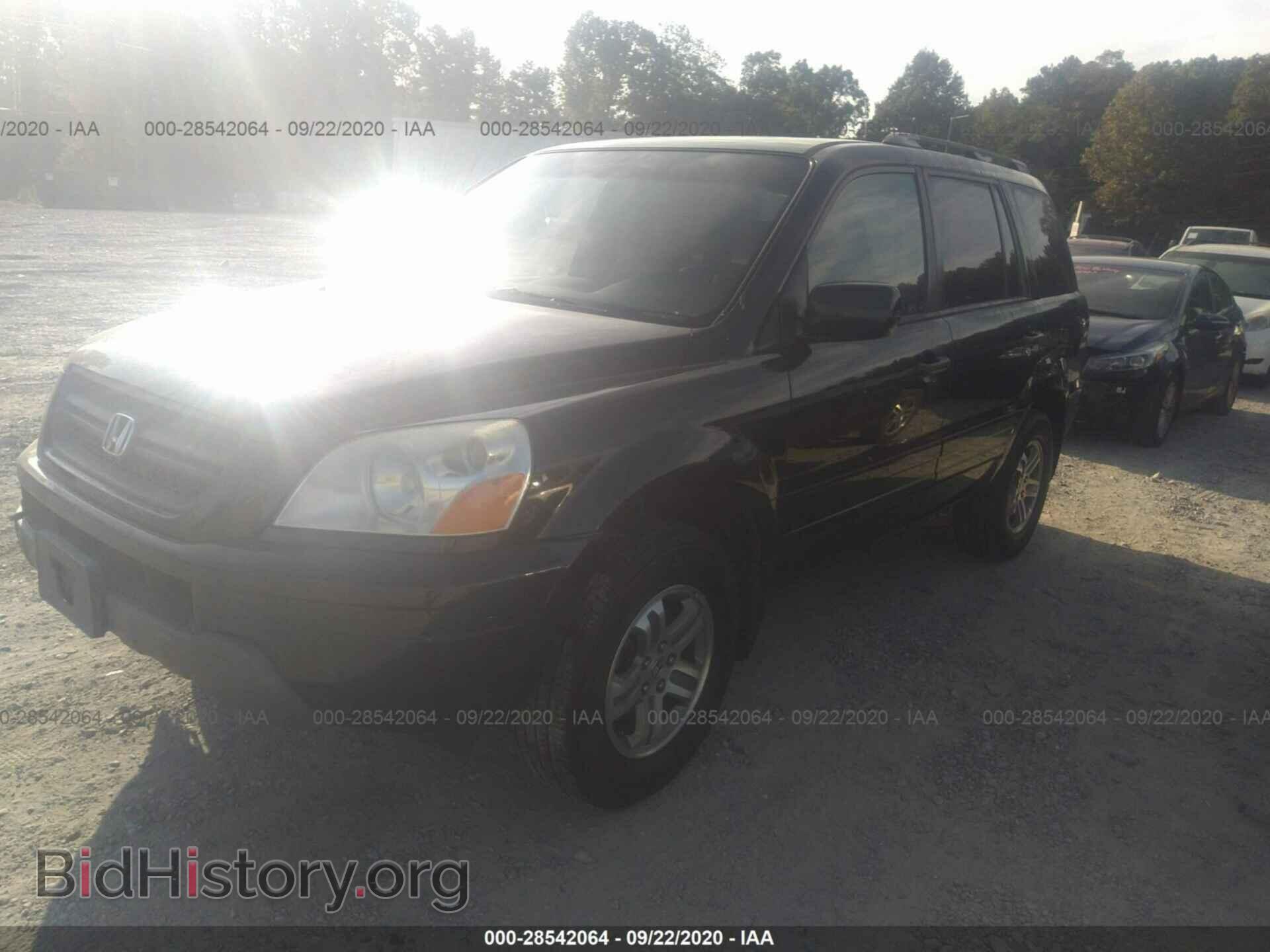 2005 HONDA PILOT - VIN: 5FNYF18675B015913 - Фото 2