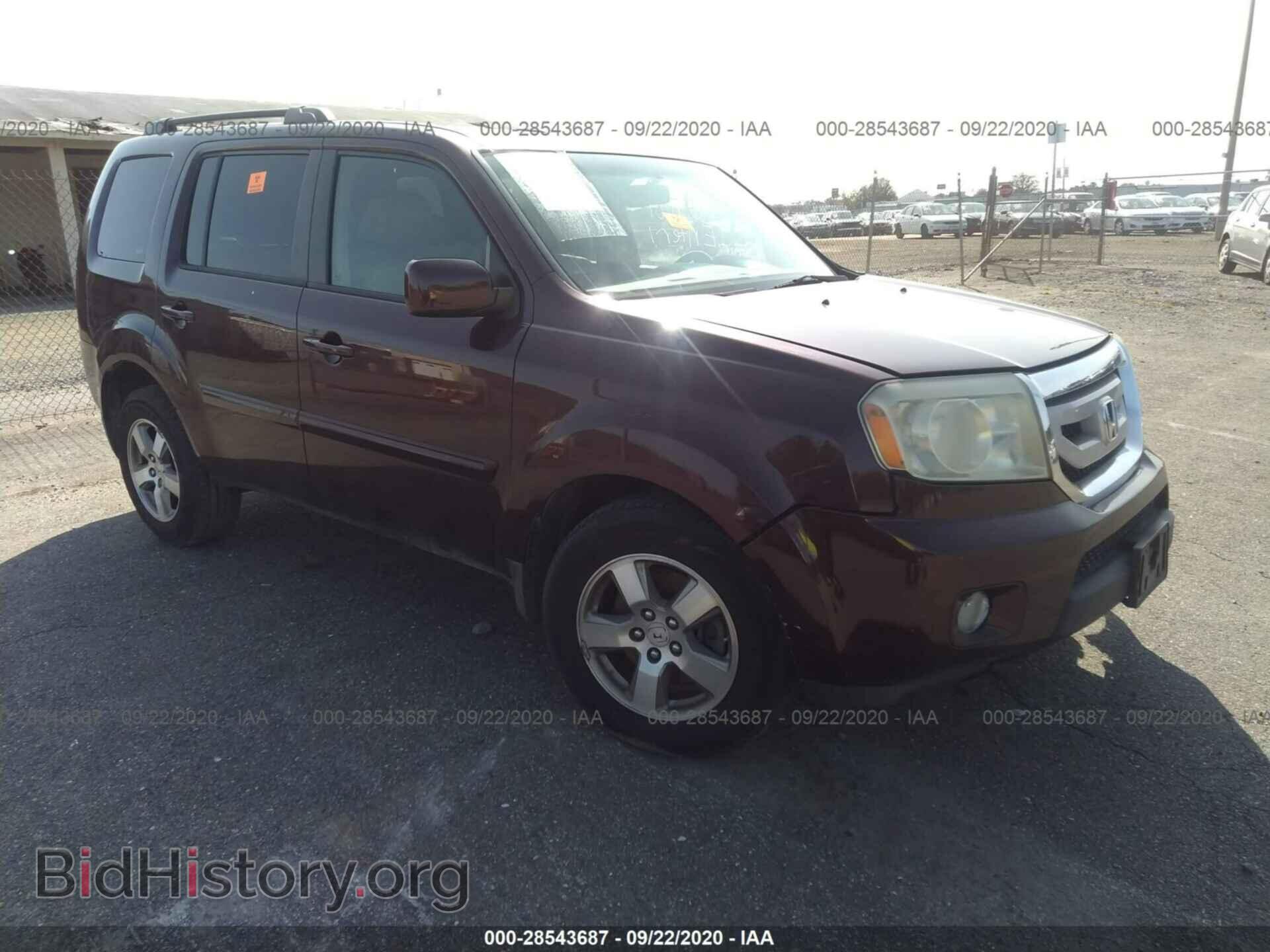 Photo 5FNYF48539B016202 - HONDA PILOT 2009