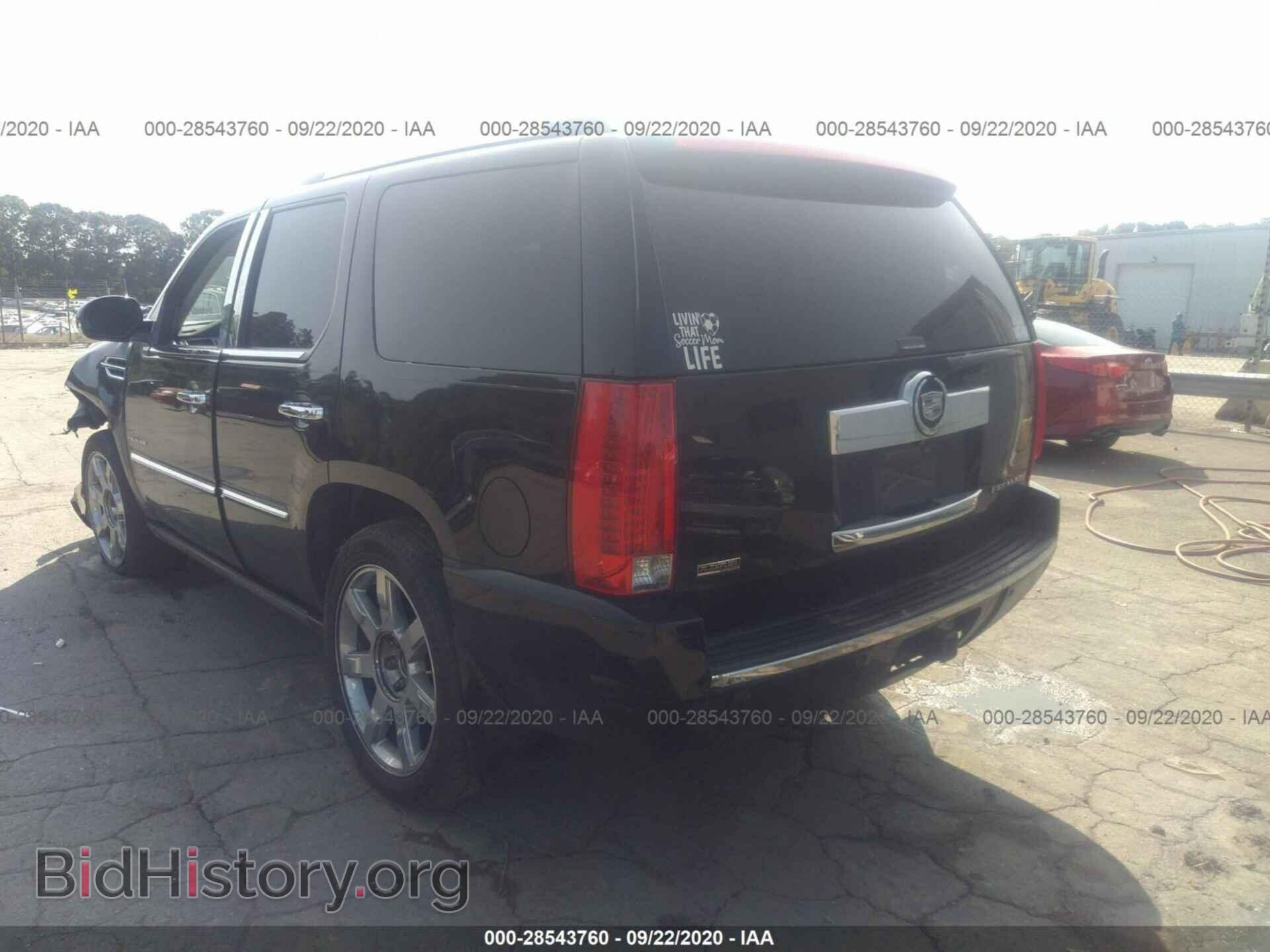 2011 CADILLAC ESCALADE - VIN: 1GYS4CEF8BR341652 - Фото 3