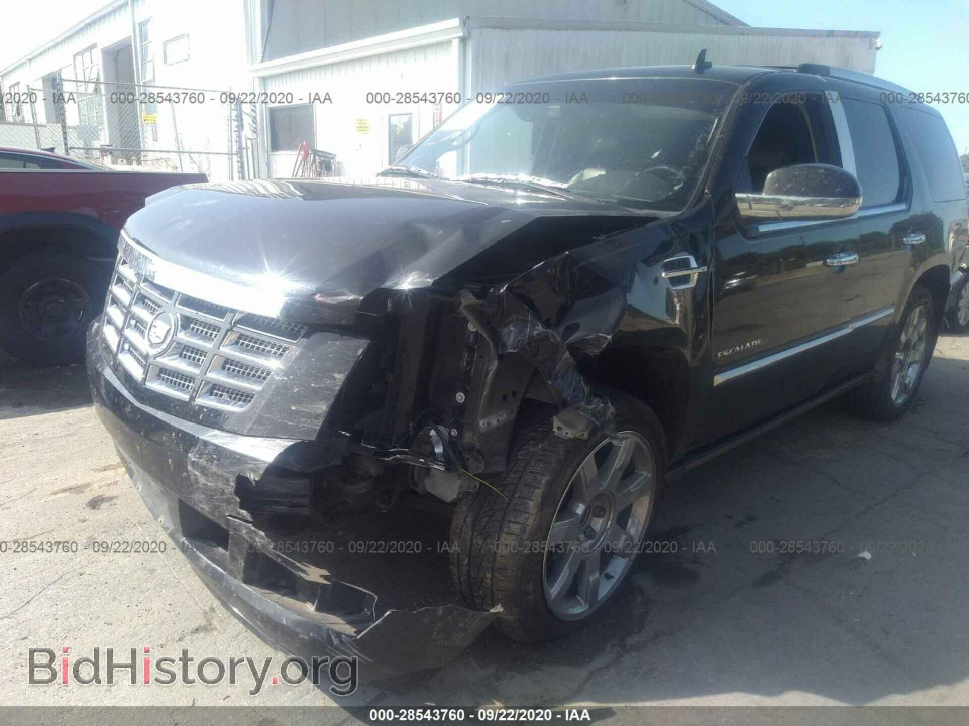 2011 CADILLAC ESCALADE - VIN: 1GYS4CEF8BR341652 - Фото 6