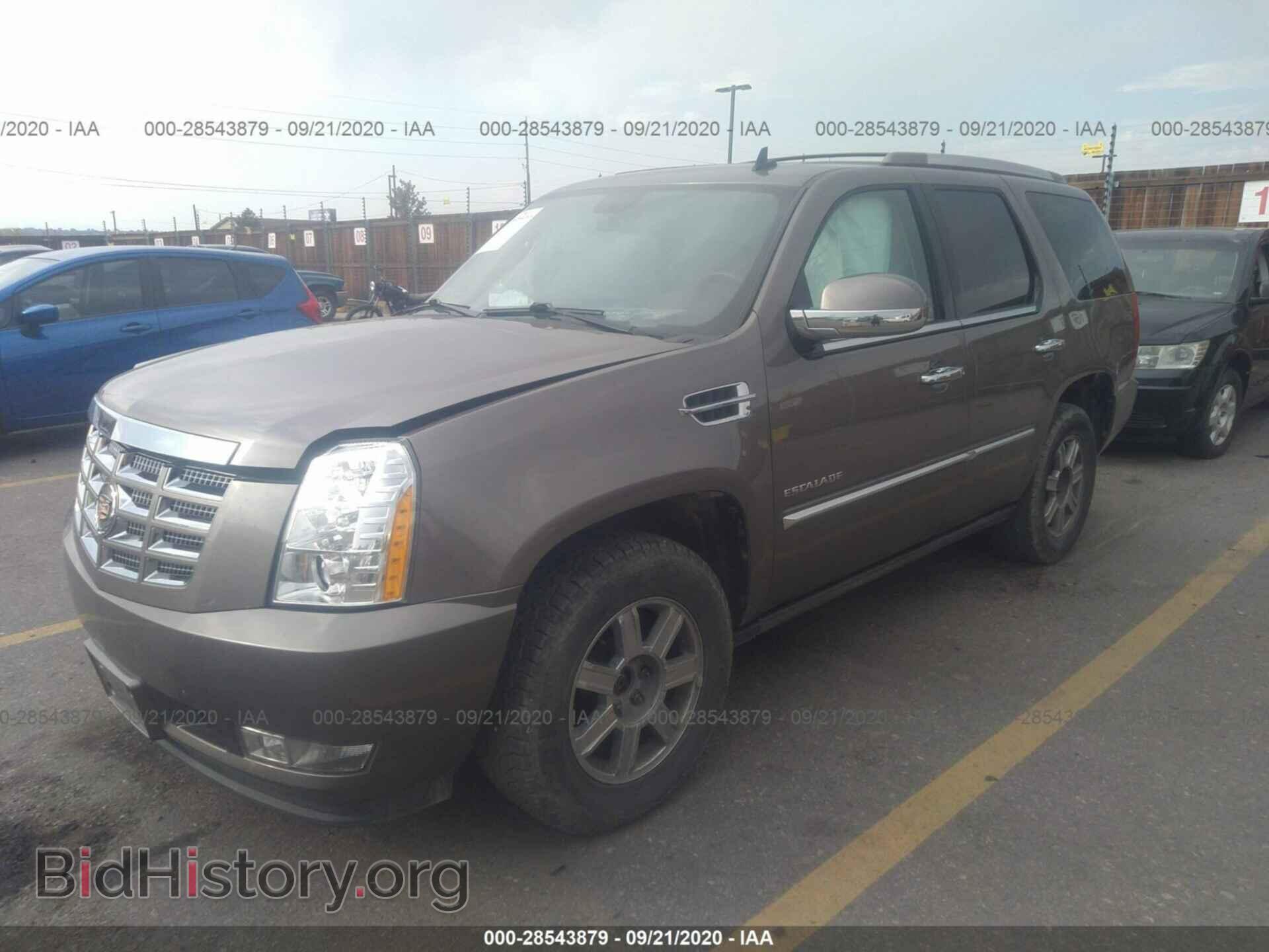 2013 CADILLAC ESCALADE - VIN: 1GYS4BEF8DR173718 - Фото 2