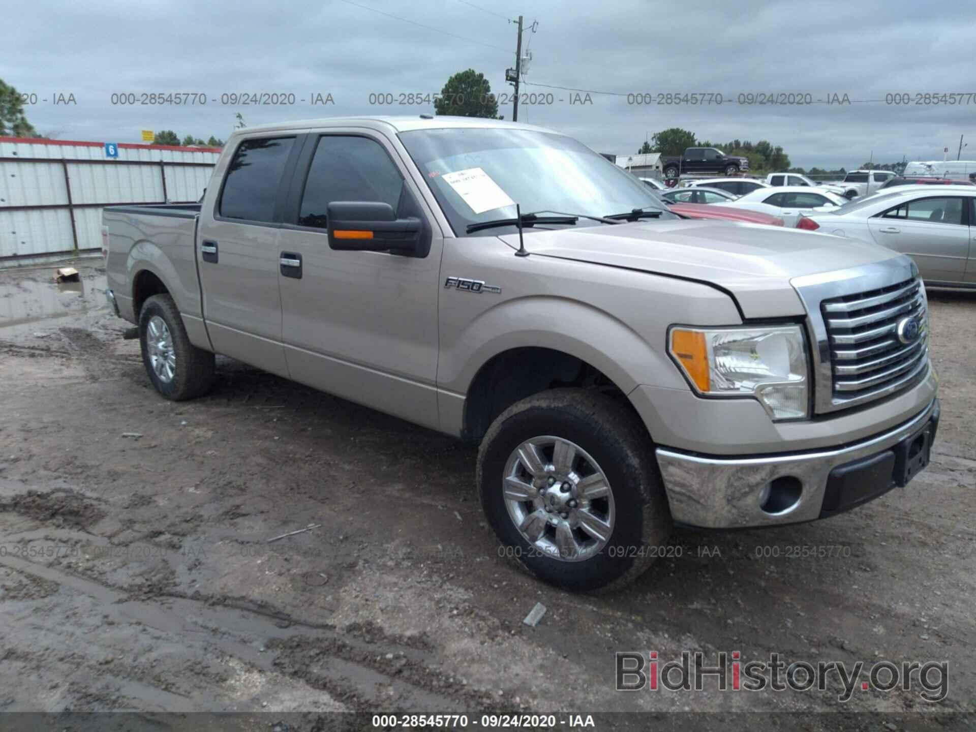 Photo 1FTFW1CV1AFD62083 - FORD F-150 2010