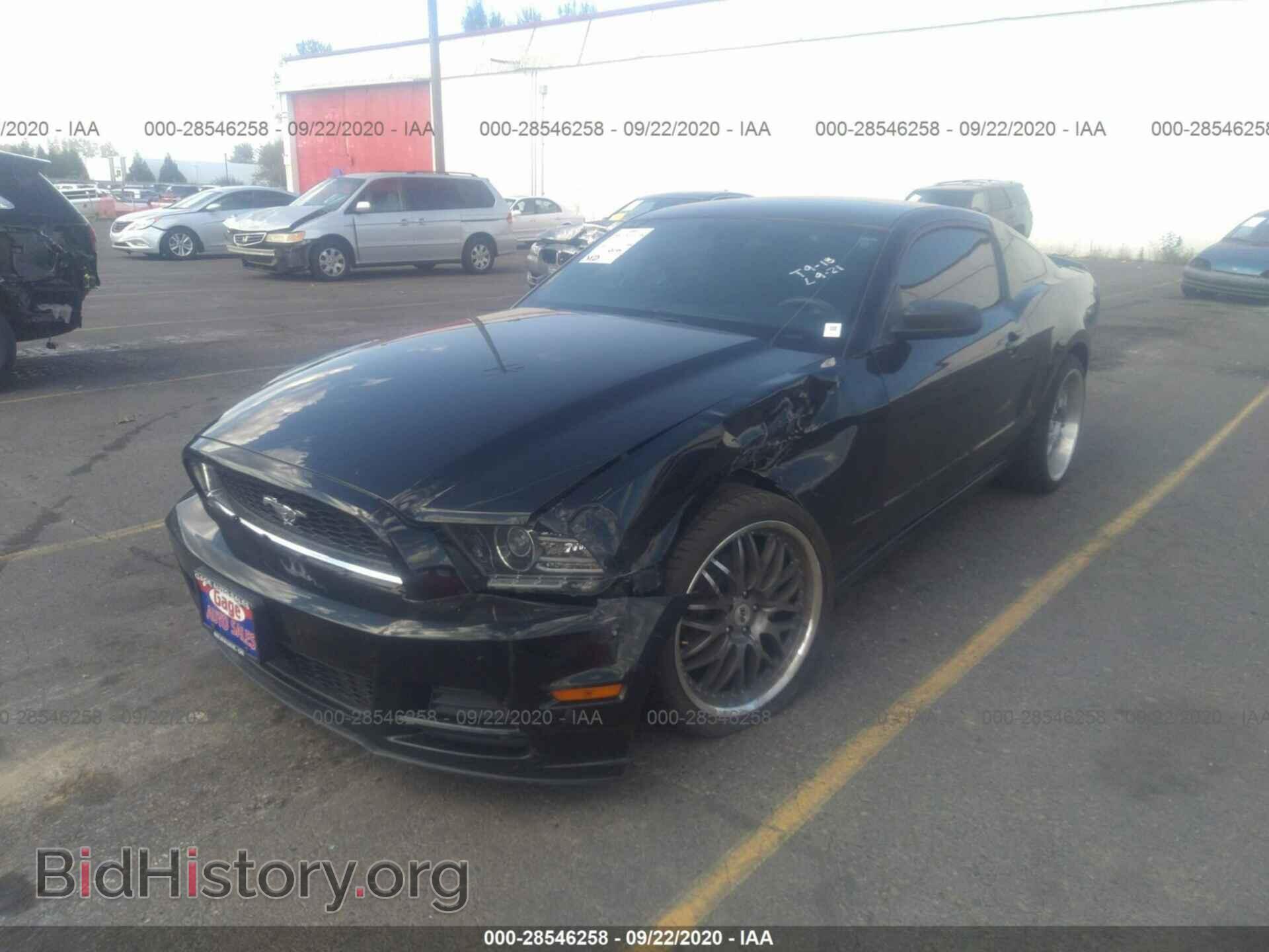 2013 FORD MUSTANG - VIN: 1ZVBP8AM0D5241647 - Фото 2