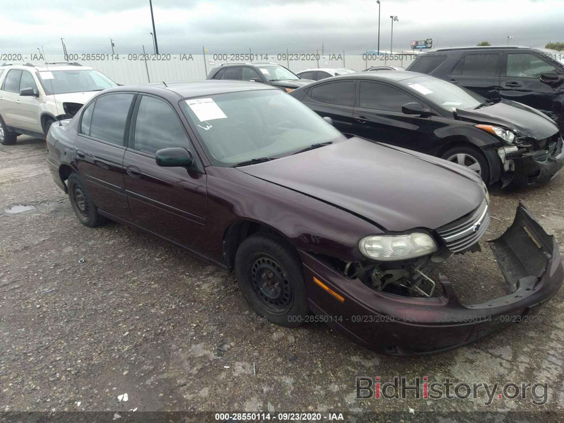 Photo 1G1ND52J4Y6264837 - CHEVROLET MALIBU 2000