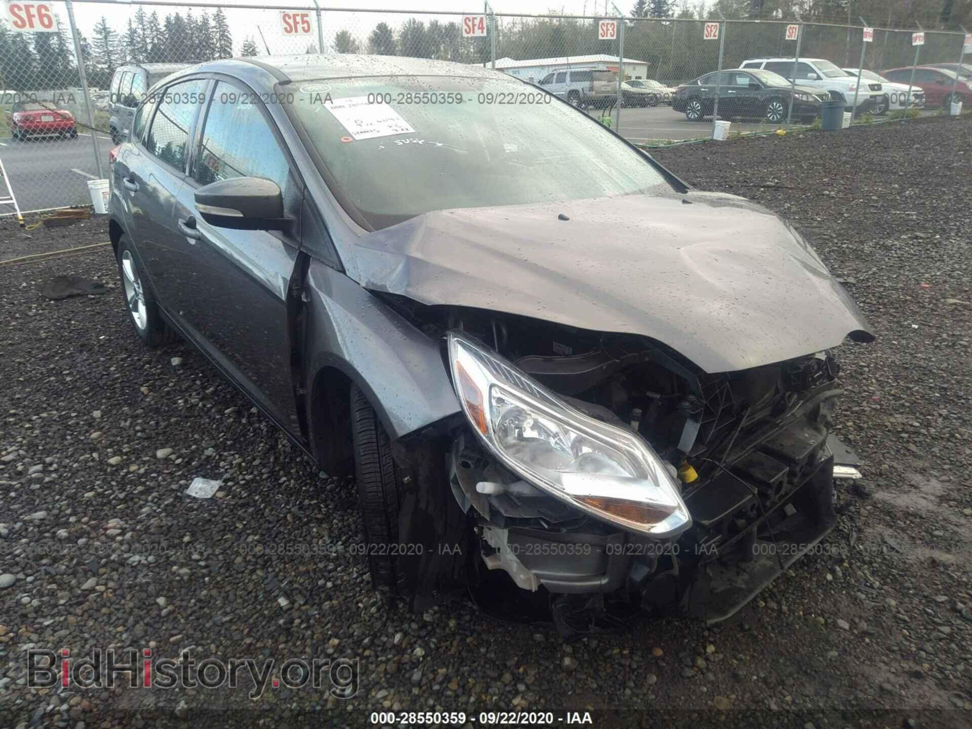 Photo 1FADP3K23DL374903 - FORD FOCUS 2013