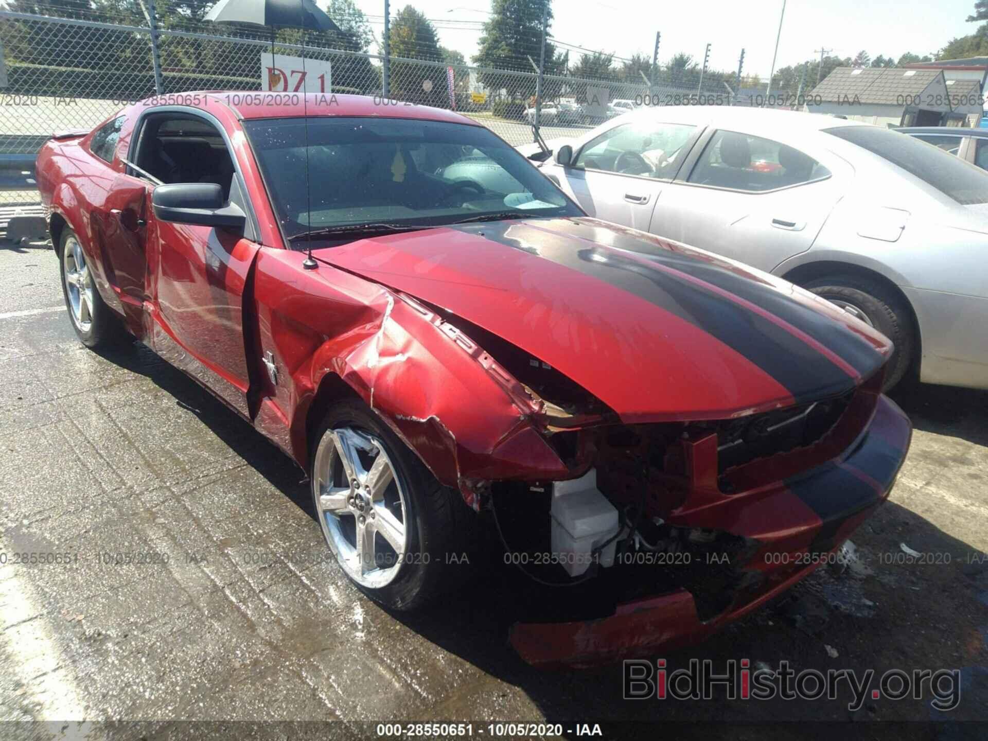 Photo 1ZVHT80N785116604 - FORD MUSTANG 2008